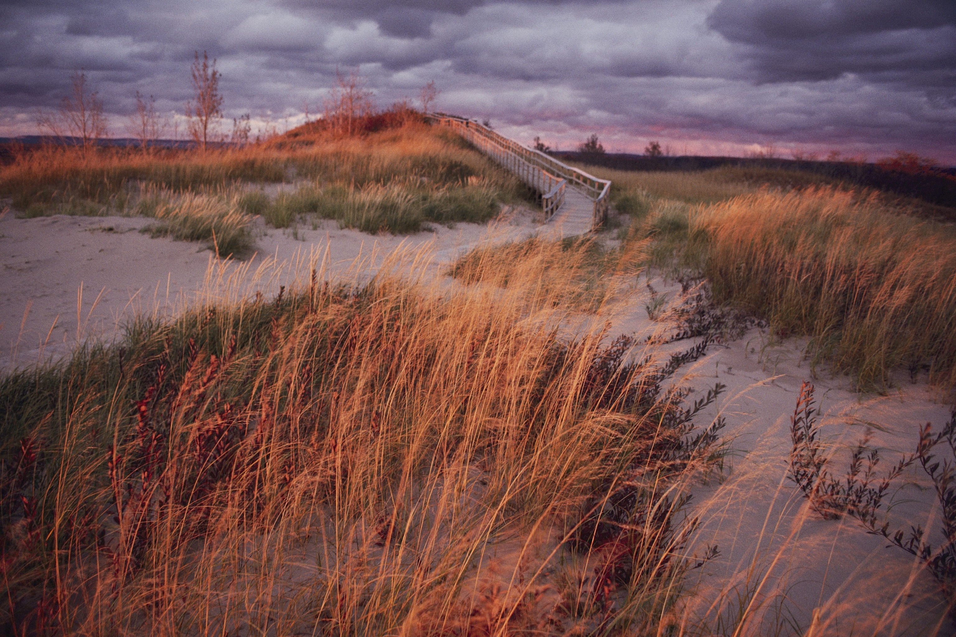 dunes near Lake Michigan