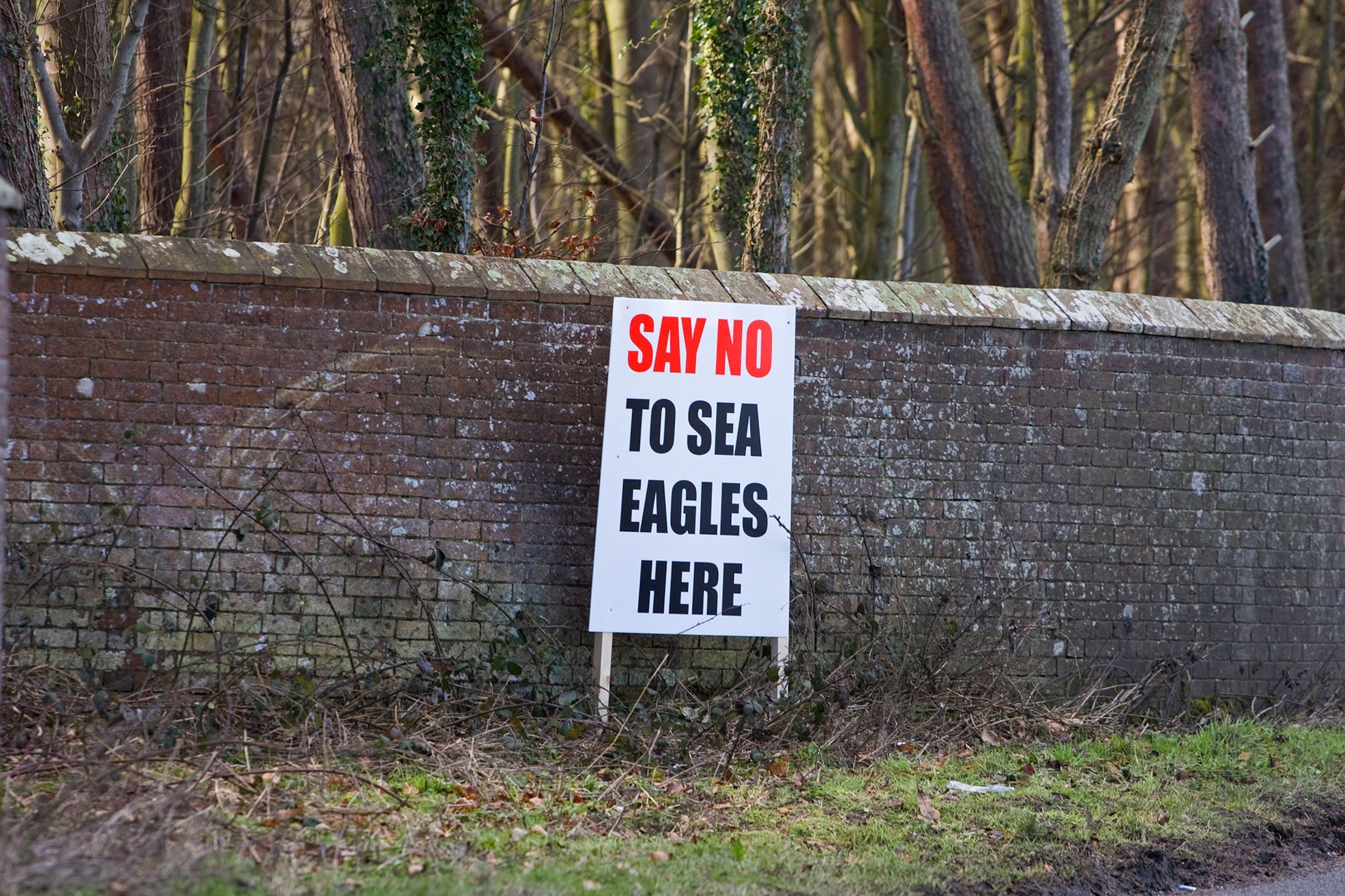 sign protesting sea eagles