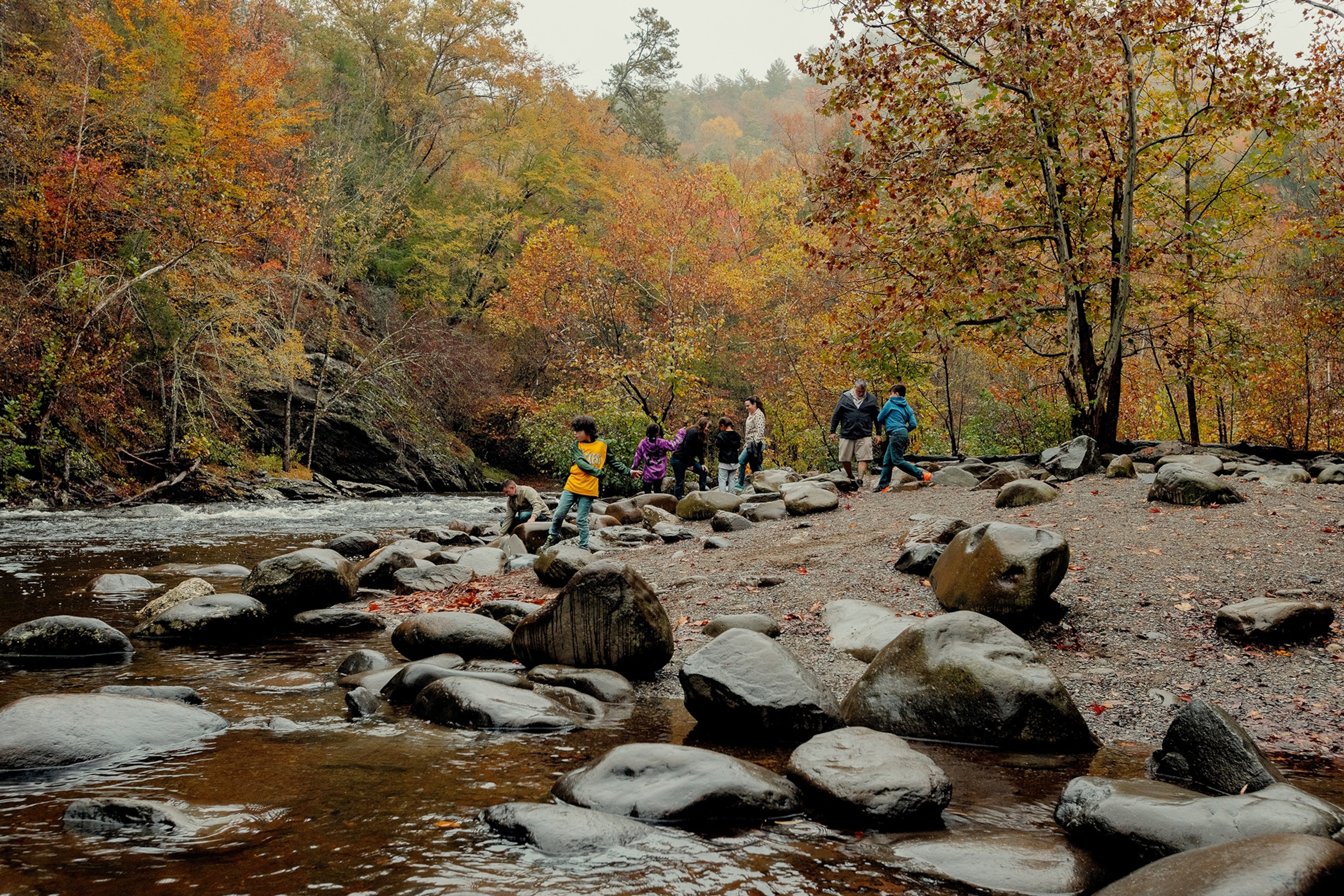 A river bank in a forest with a group of hikers skipping stones.