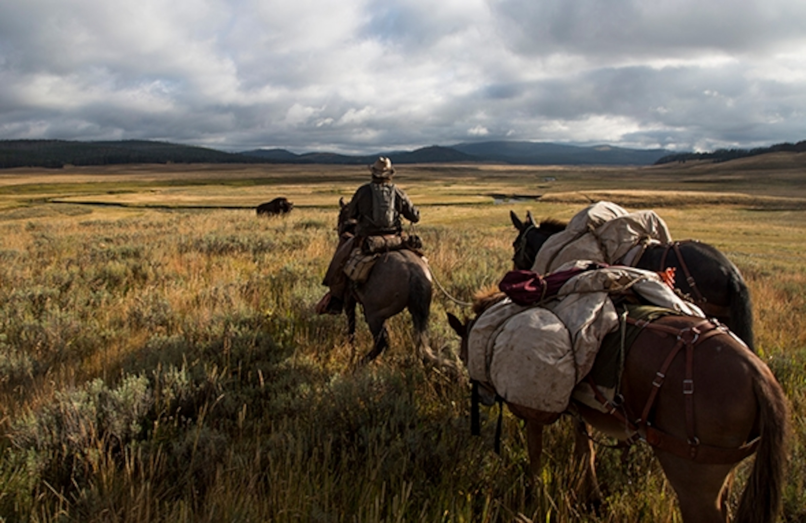 Ray Knell cautiously walks toward an old bison before giving it a wide berth. It’s his valley. Photograph by Ben Masters