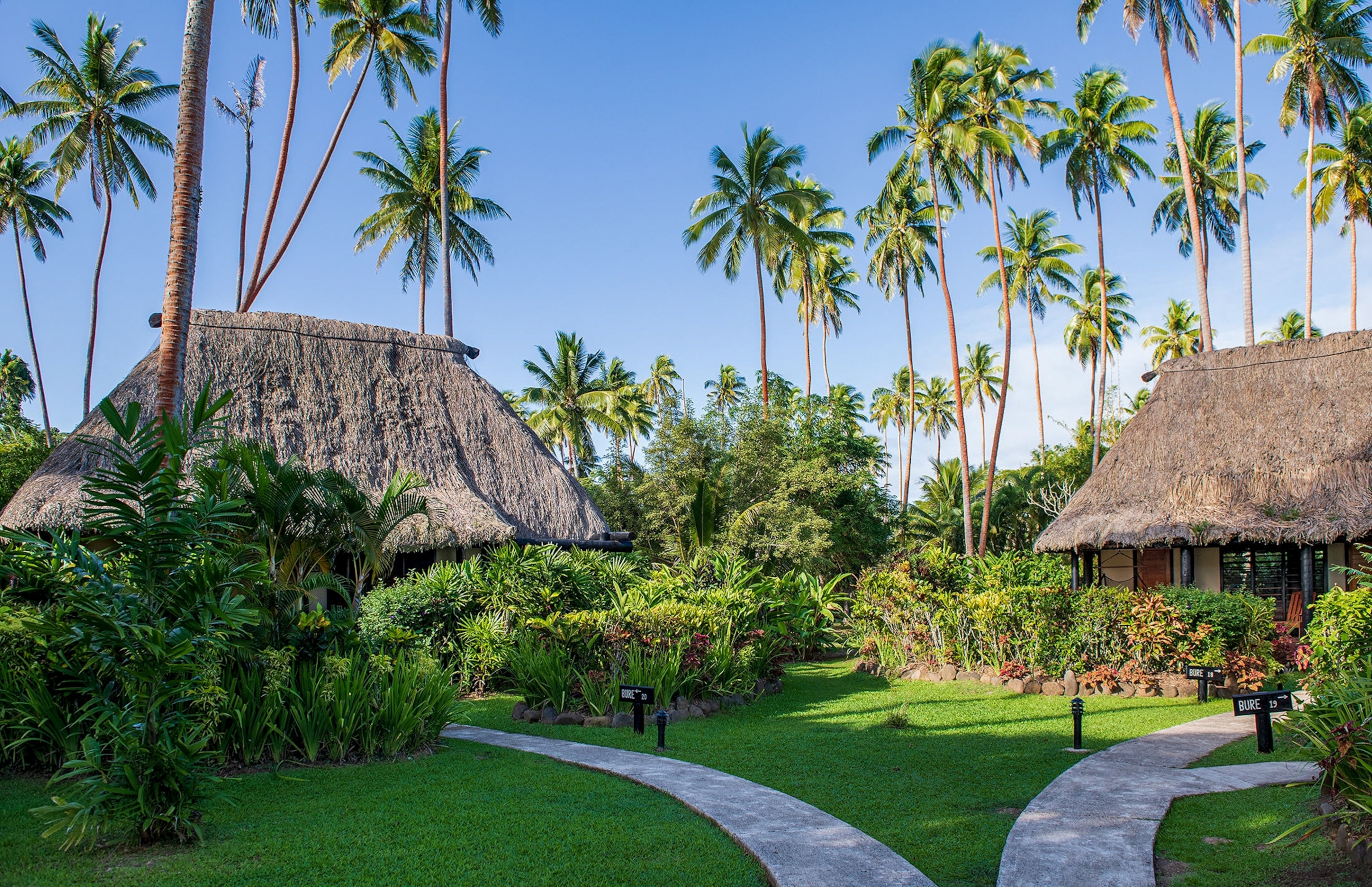 Thatched-roof bungalows sit among lush tropical gardens and tall palm trees, with winding paths leading through the resort grounds.