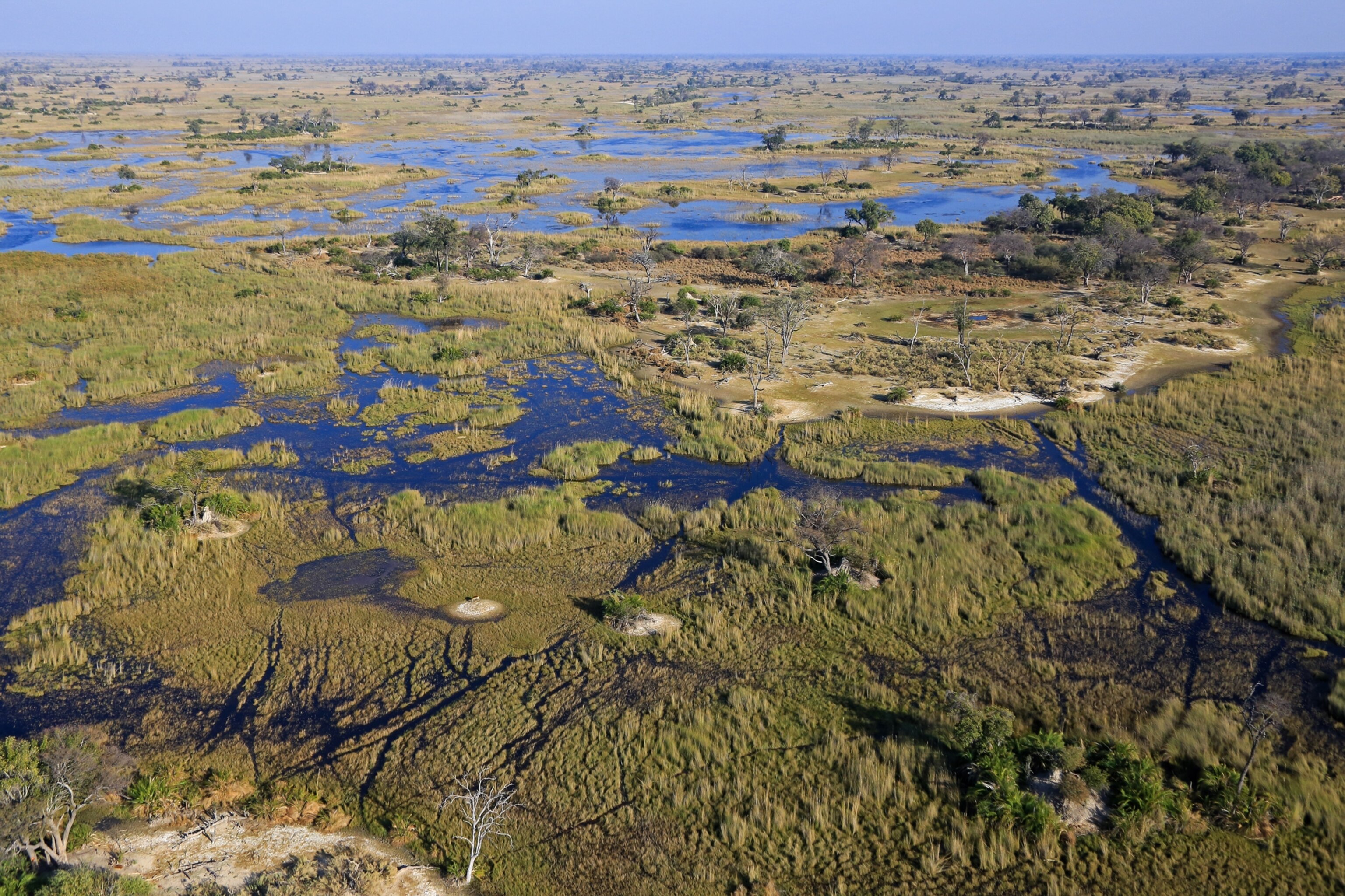 Counting Elephants From the Air in Africa’s Newest World Heritage Site