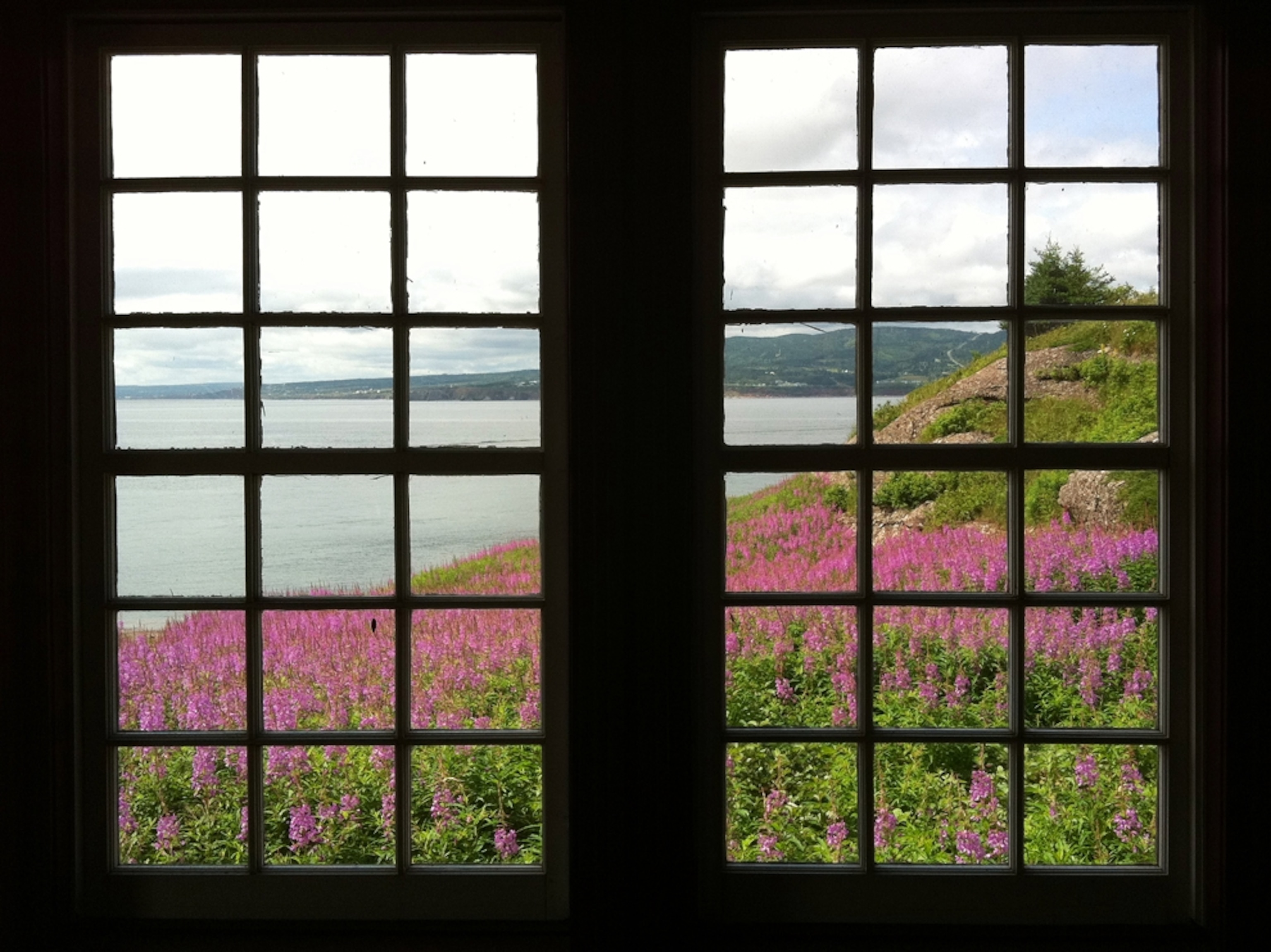 window pane and pink flowers on coastline, Quebec