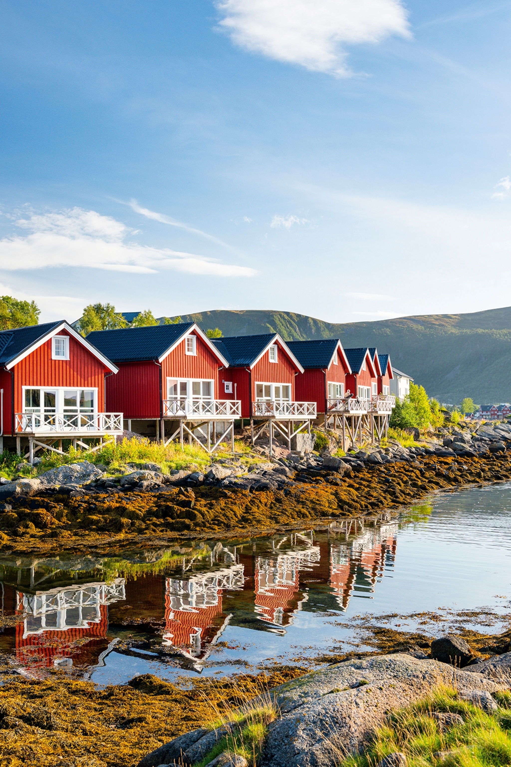 A hotel overlooks a marina on a sunny day.