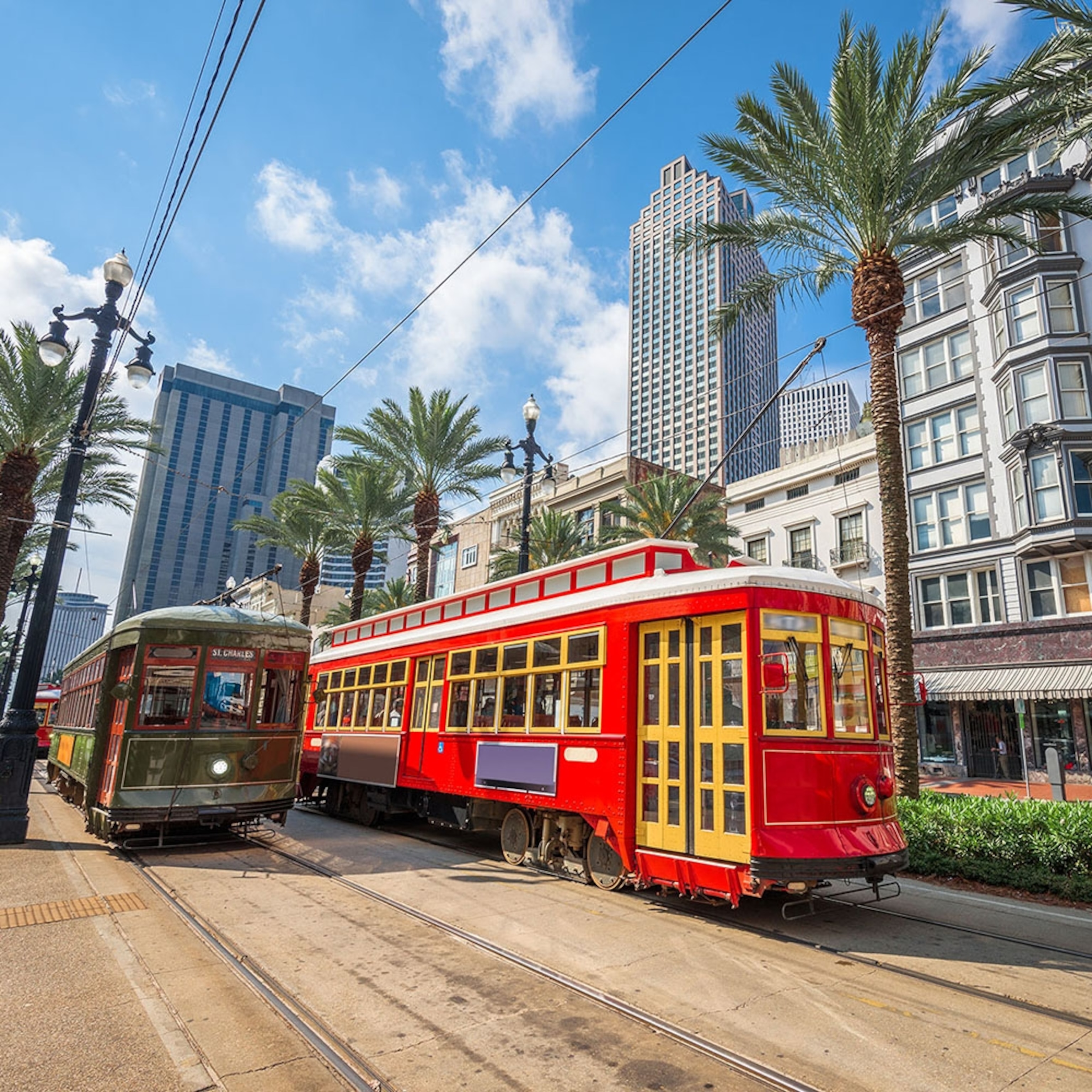 A tram running through a city with high-rising buildings and palm trees surrounding it.