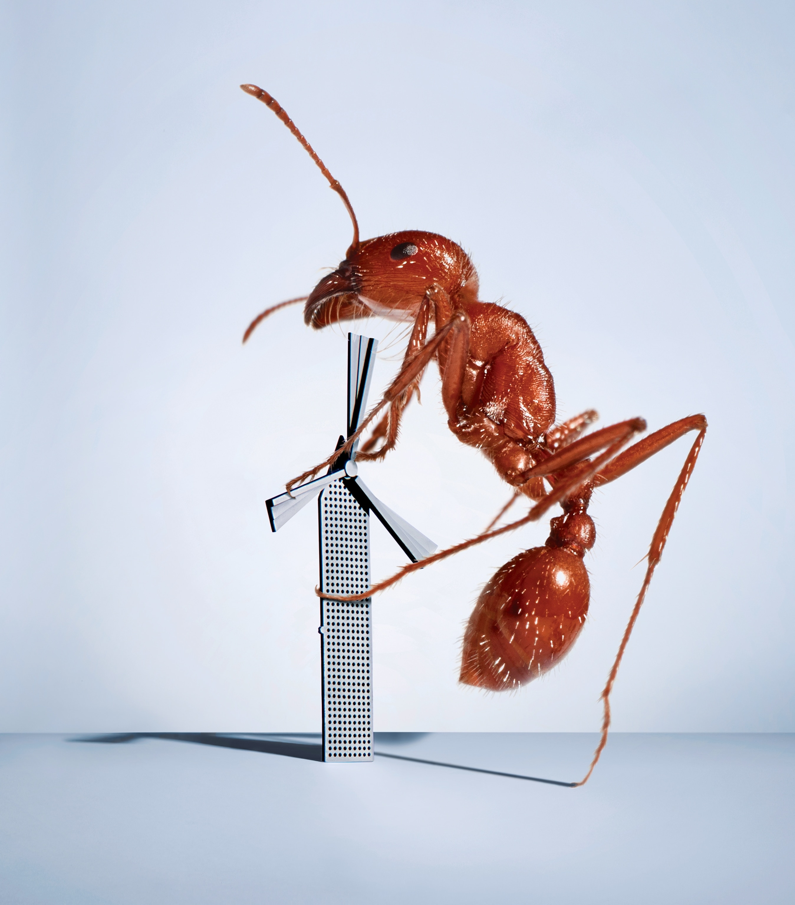 A composite image of an ant climbing a tiny wind turbine