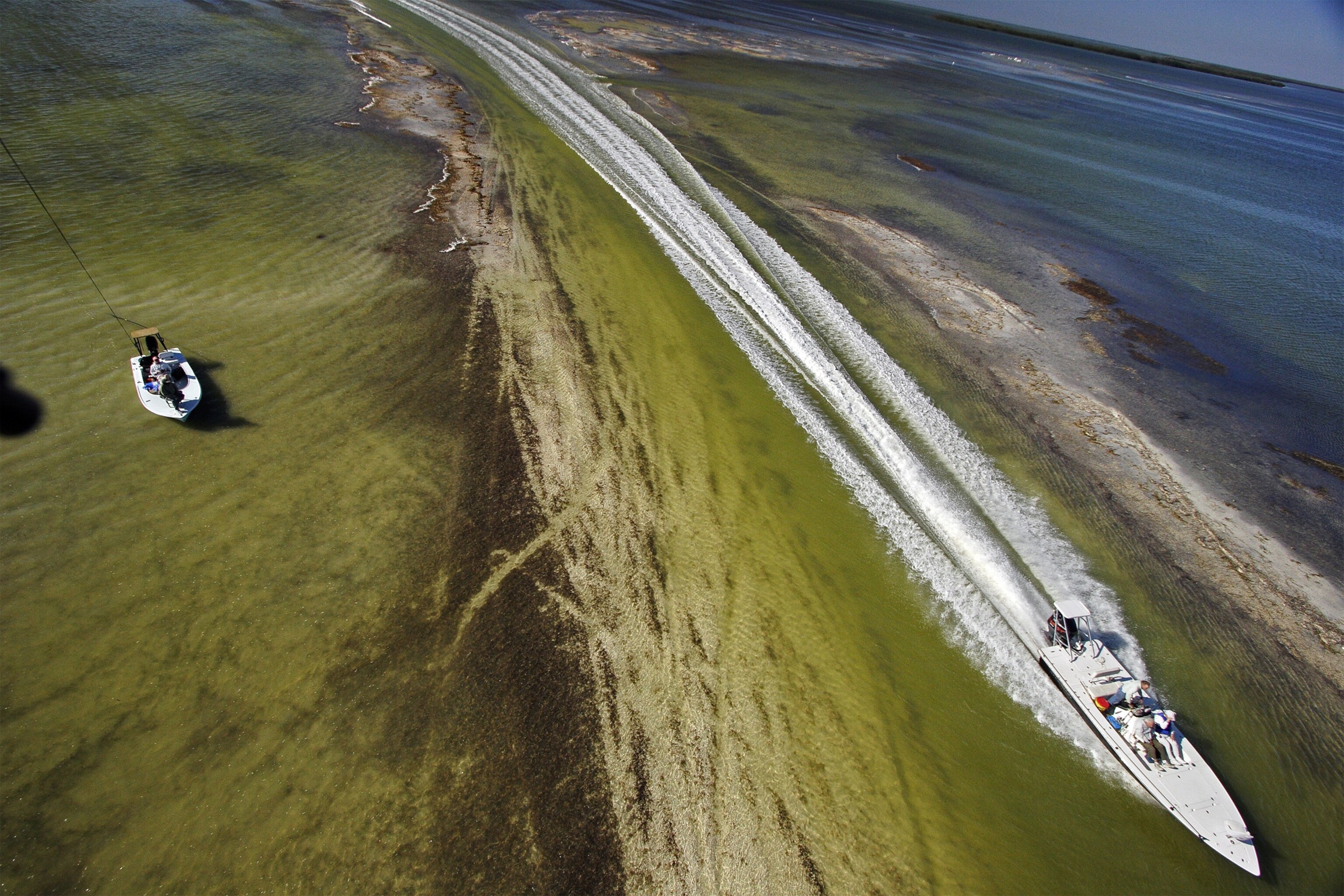 Everglades picture: for now-or-never gallery
