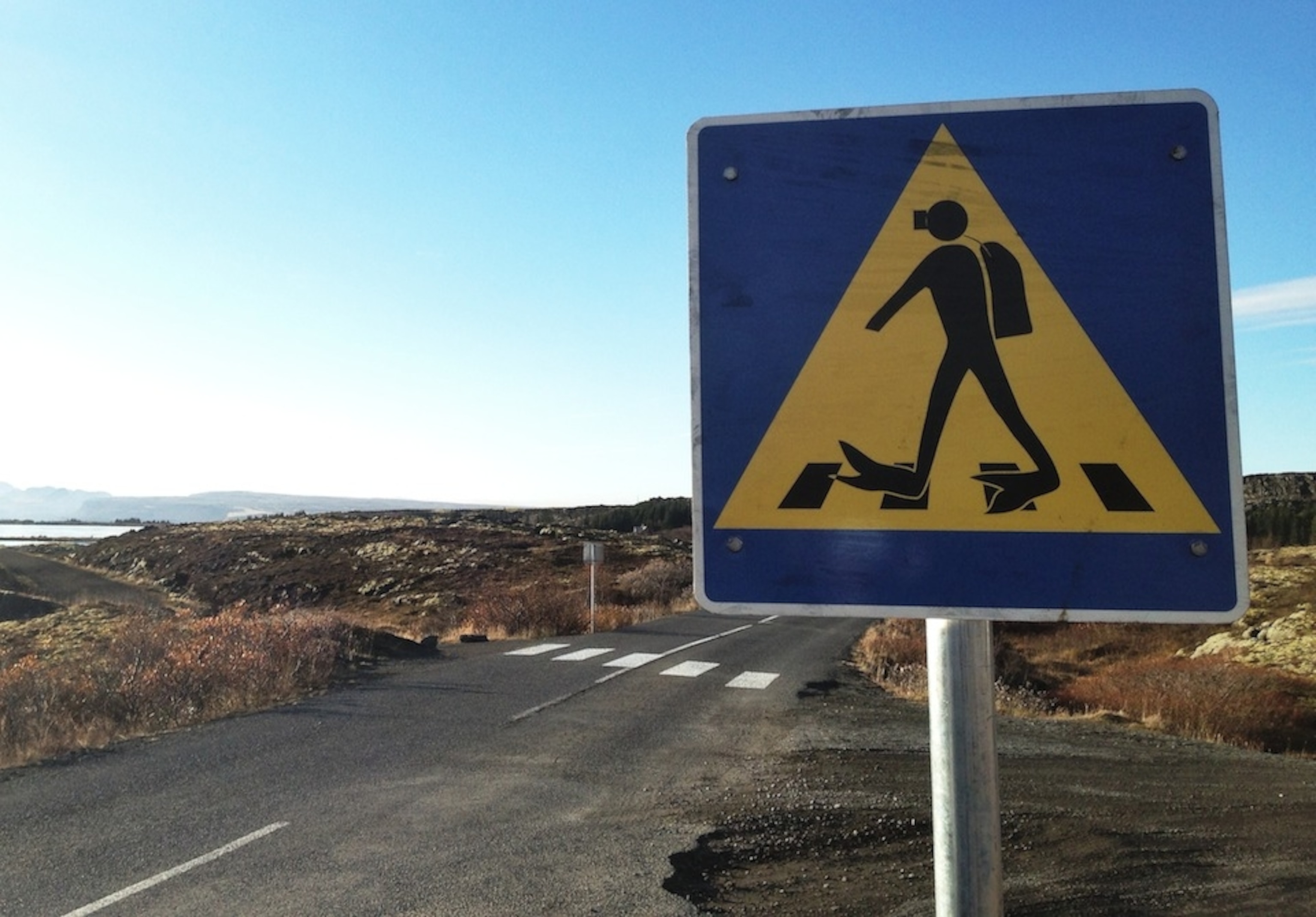 Photo by Daniel Stone