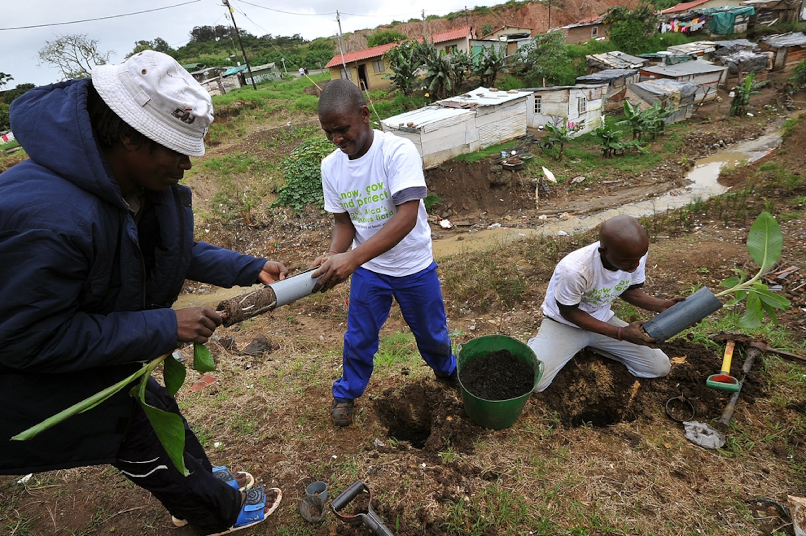 Men working a garden in Cato Manor Township, Durban