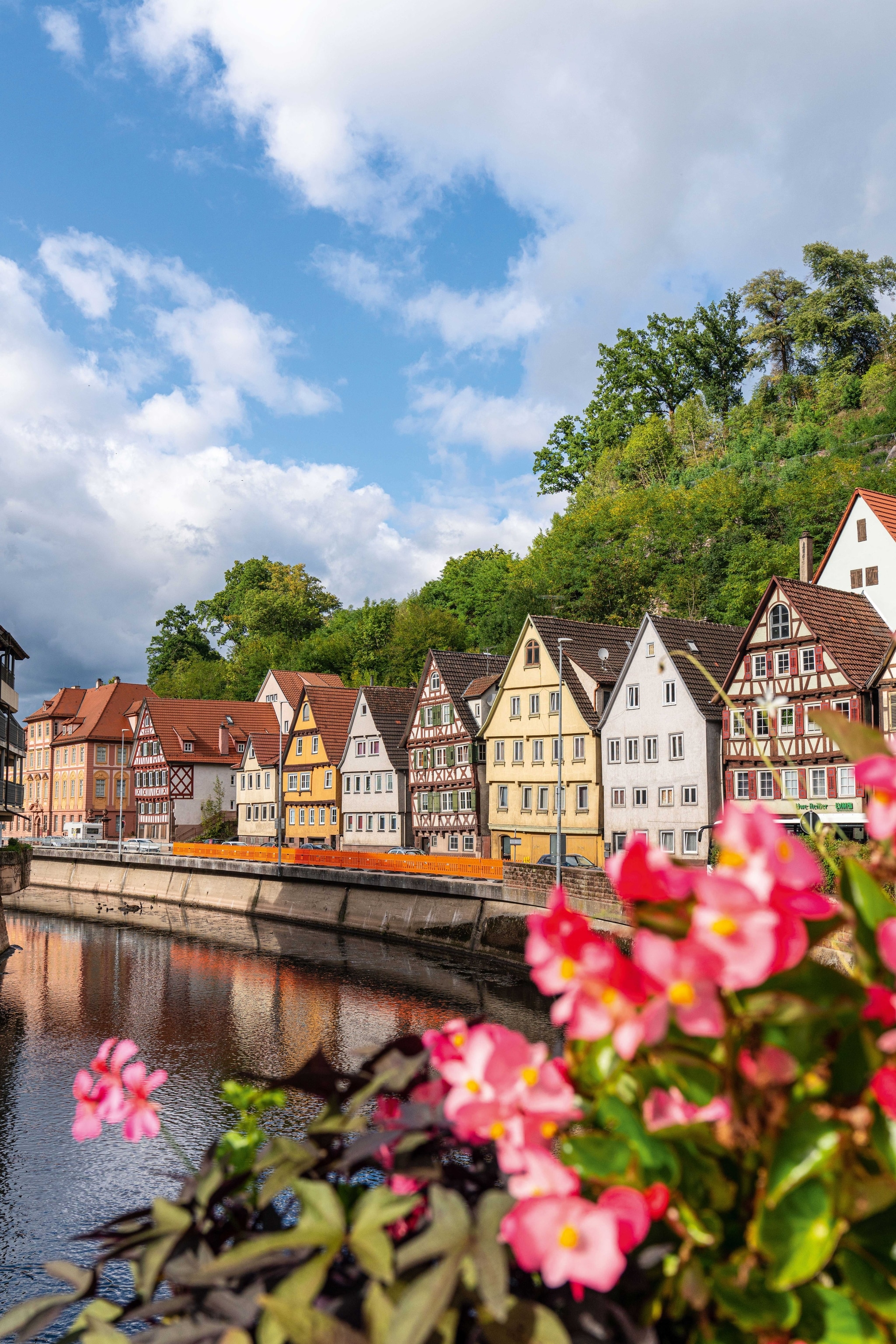 Colourful houses line a river, with pink flowers in front