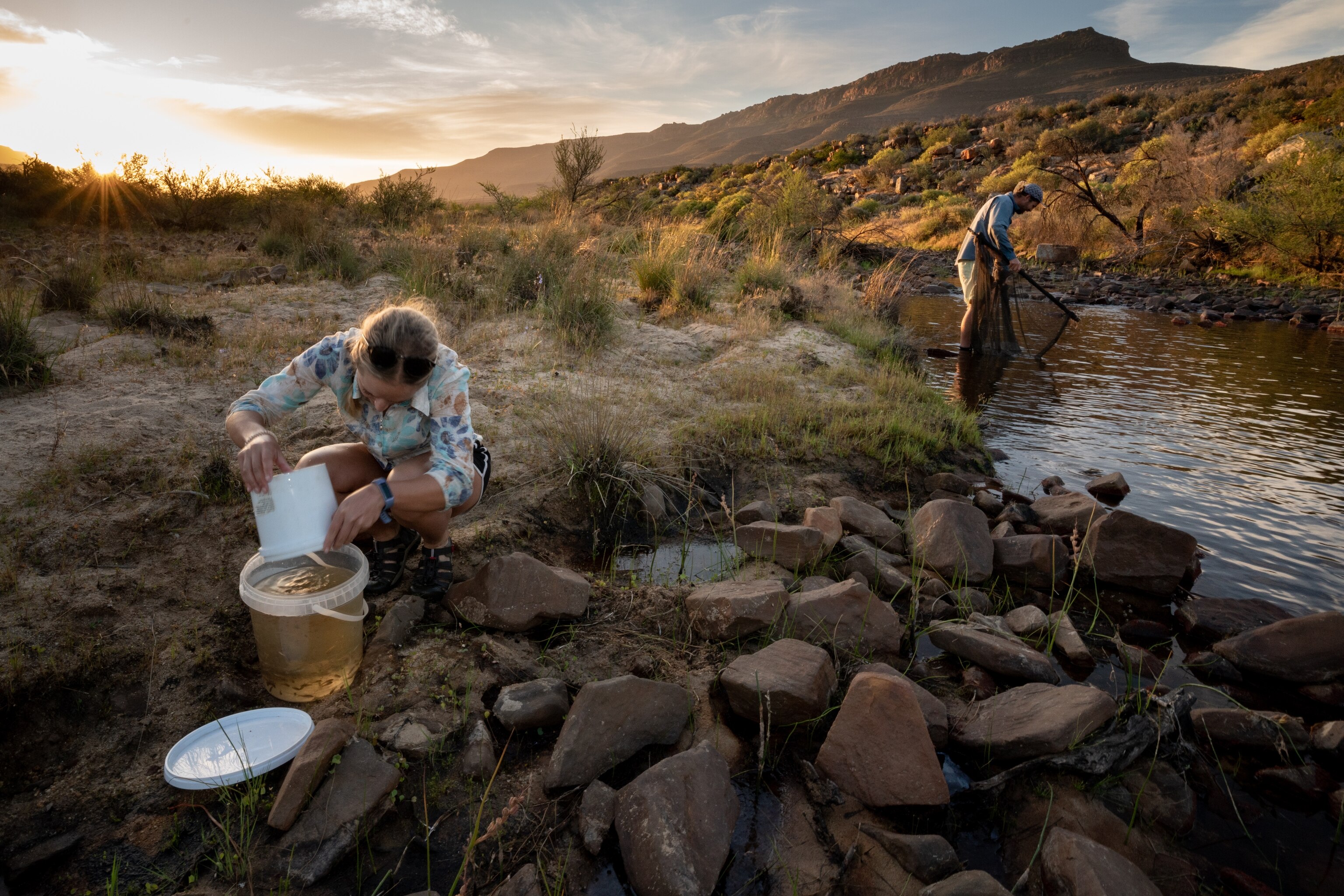 Two people collecting fish, one standing in the river while the other is on the edge of the riverbed