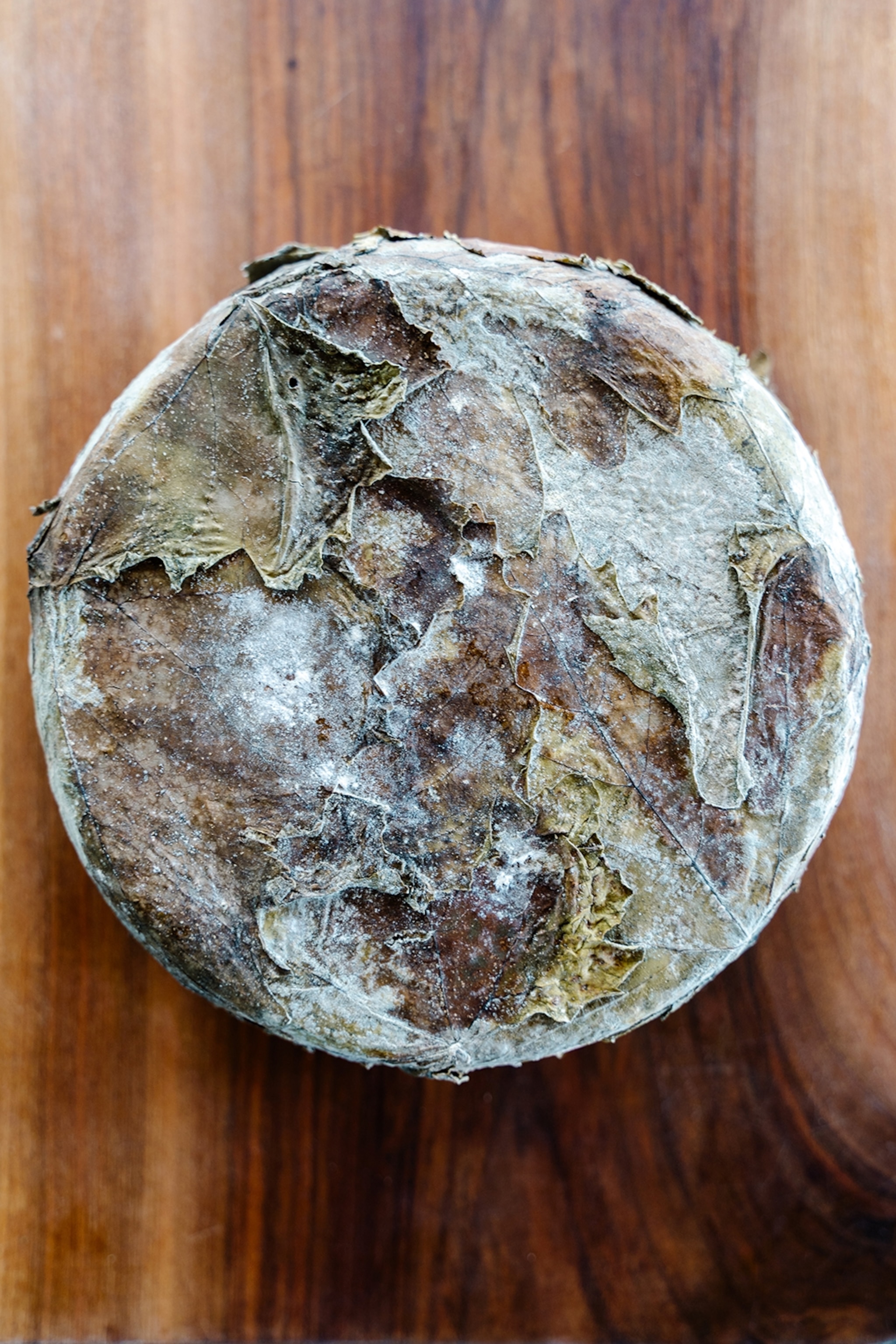 A wheel of cheese wrapped in dried vine leaves.