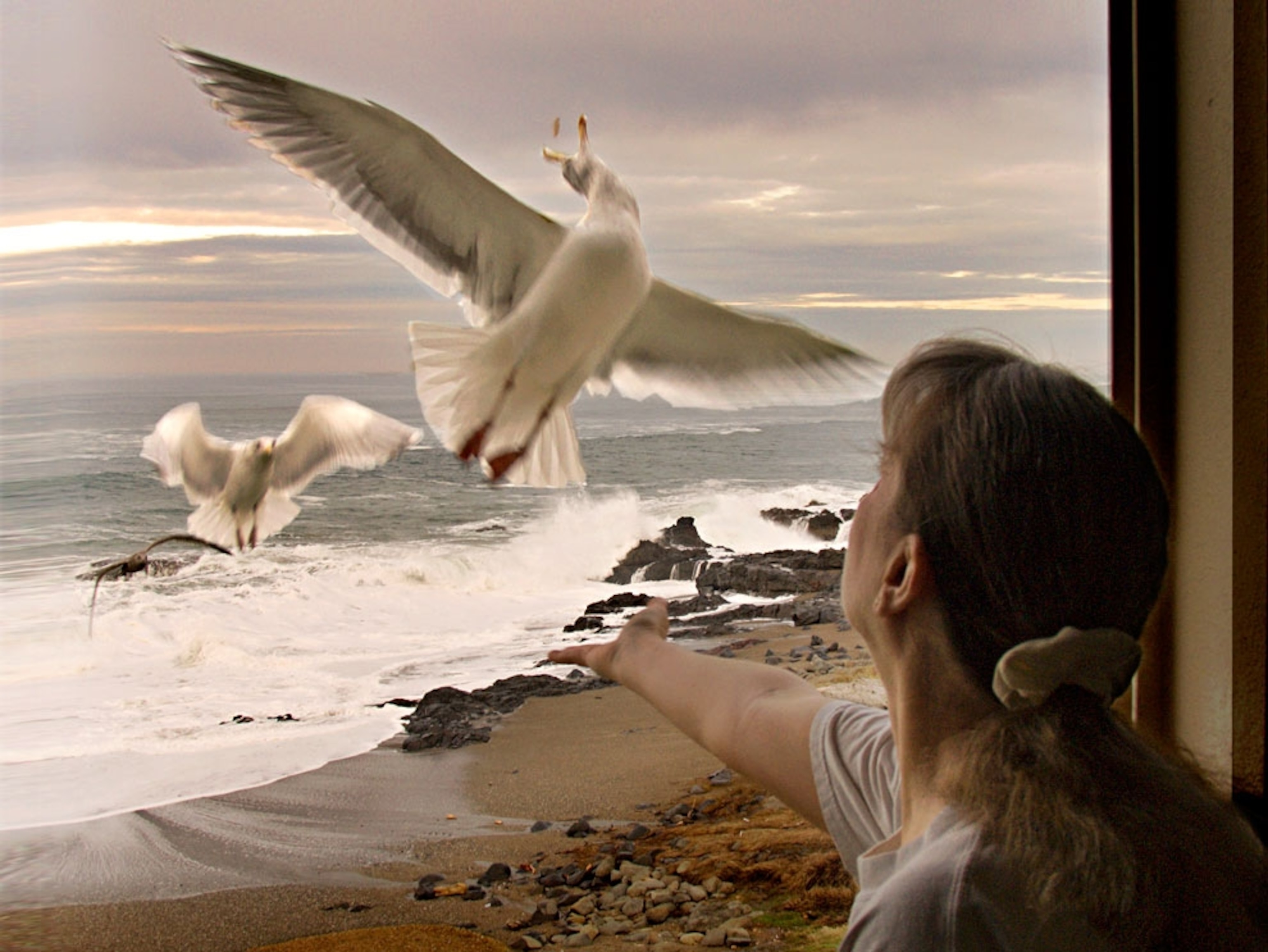A woman throwing food to seagulls on a beach