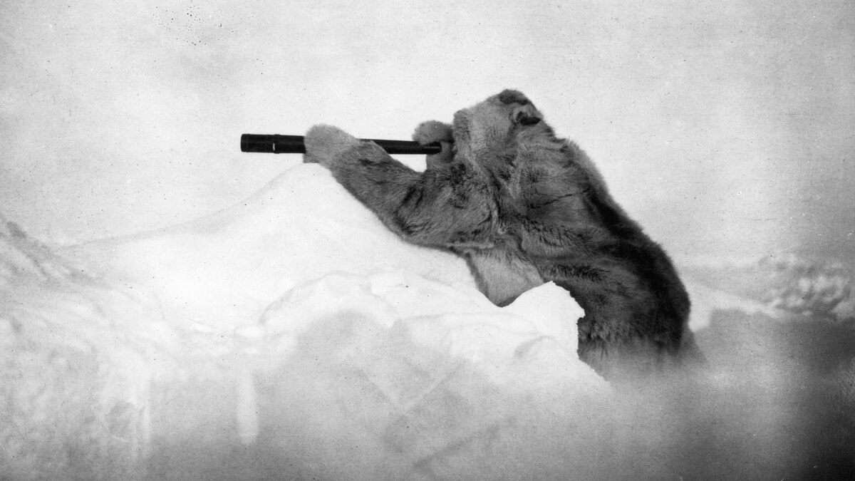 8 National Geographic photos that made history