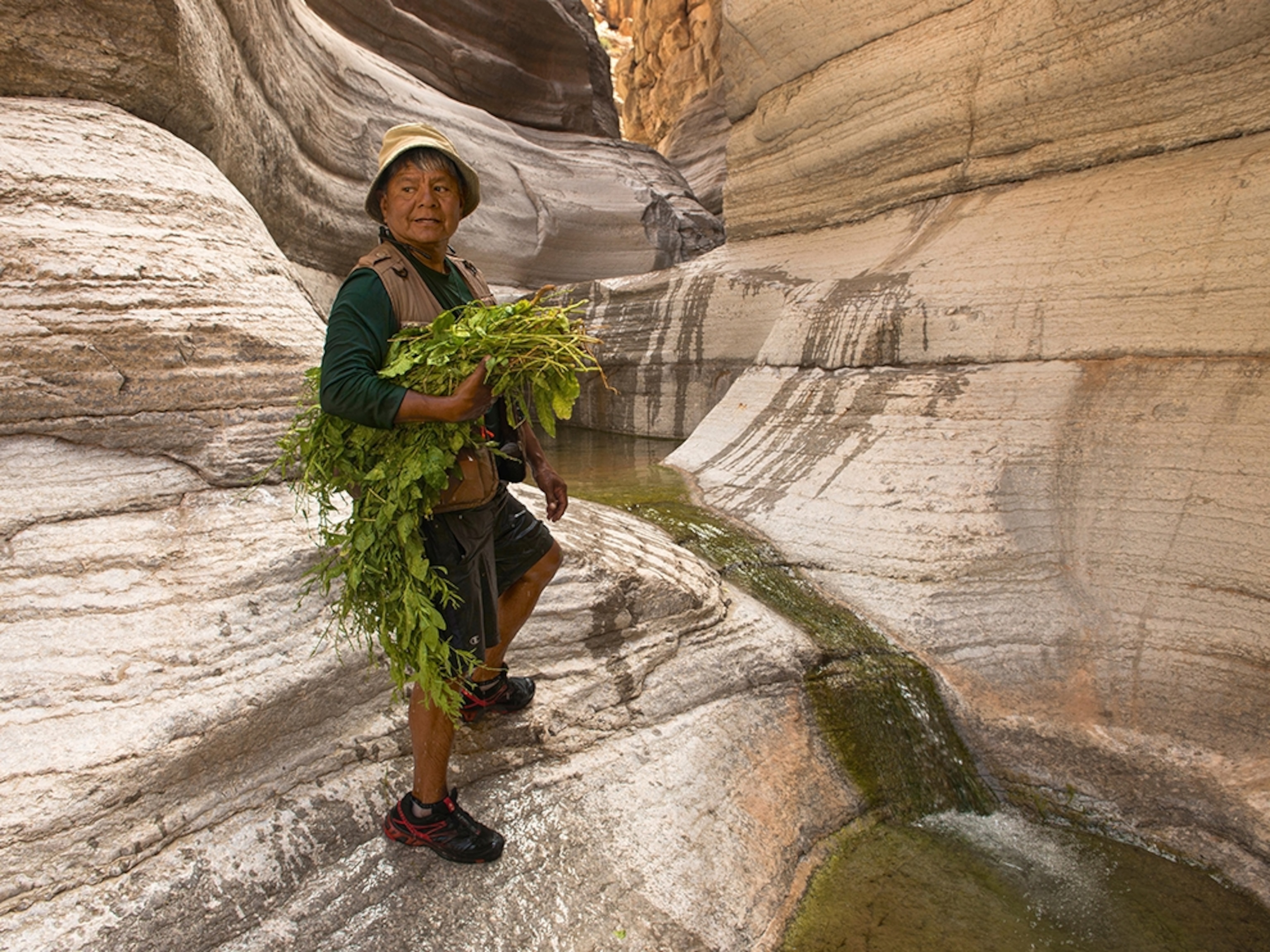 woman collecting tobacco
