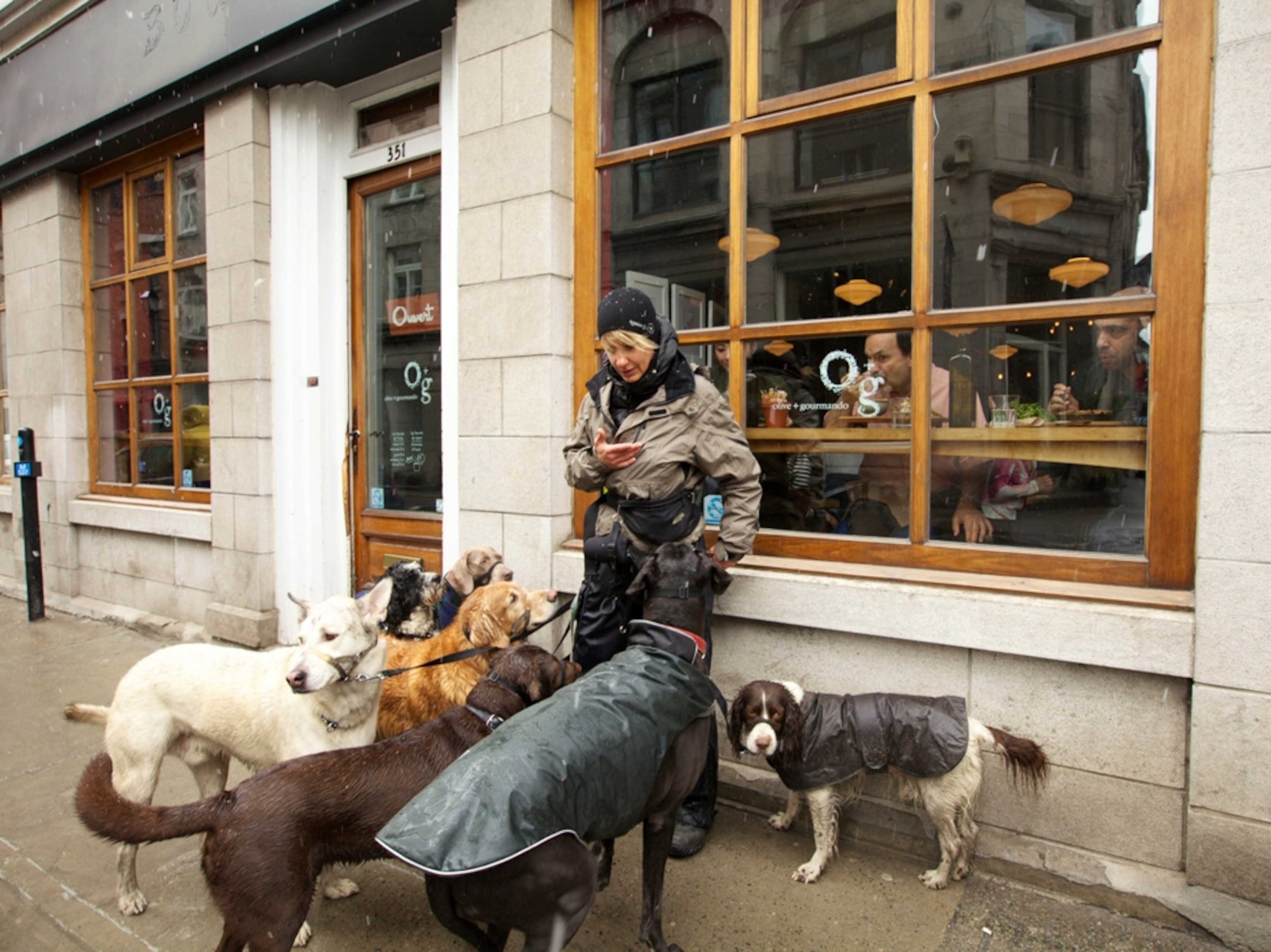 A dog walker pauses for a break.
