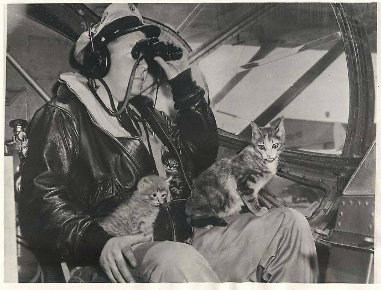 Photo of man with cats on lap and in jacket with binoculars