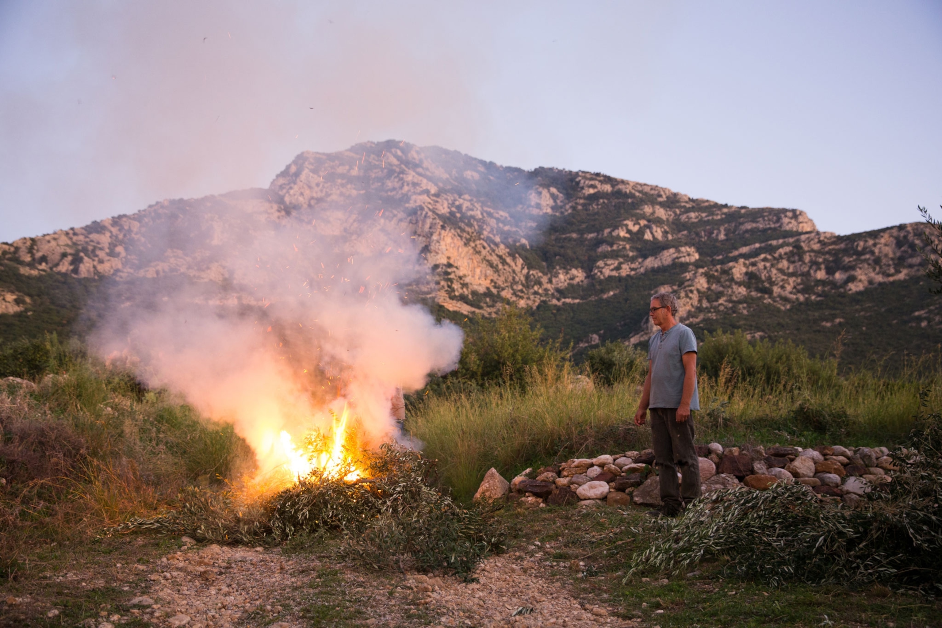 a man burning olive branches