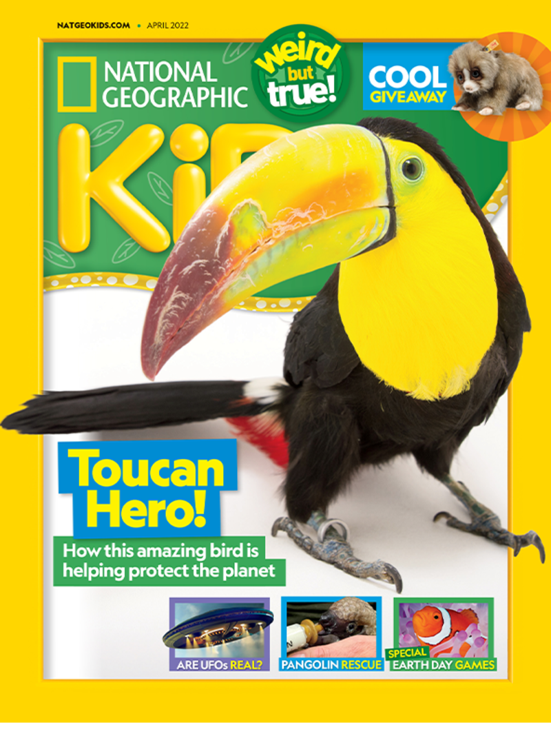 National Geographic Kids