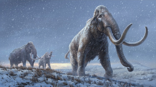 1_mammoths.jpg?wp=1&w=636&h=358