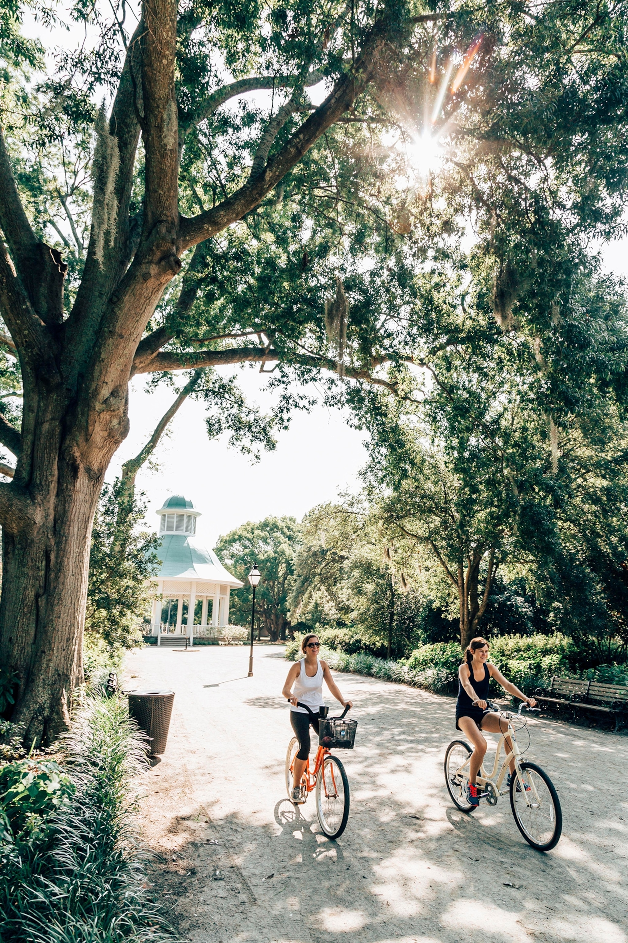 cyclist in Hampton Park, Charleston, South Carolina