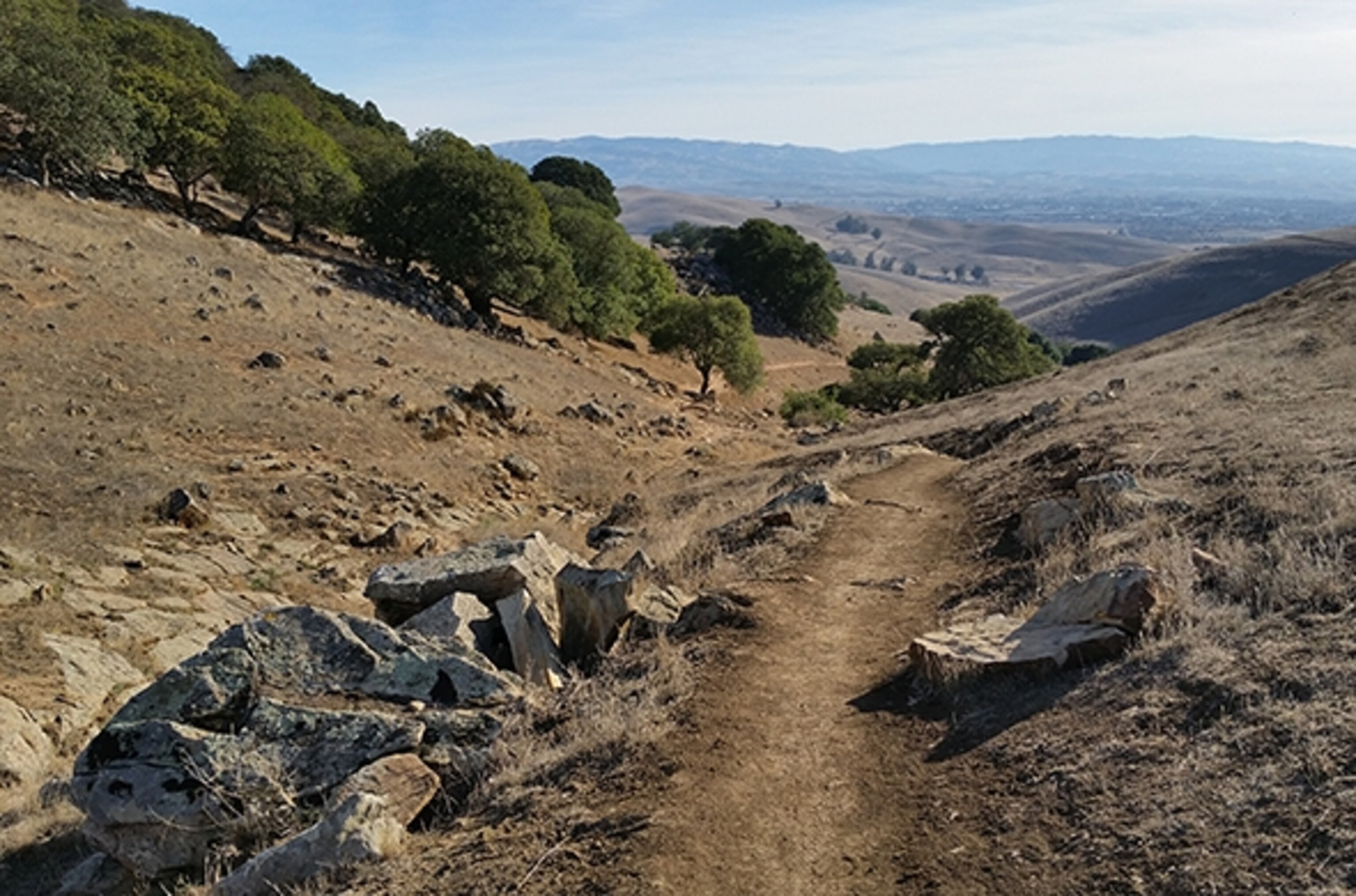Dirt trail among hills (Photograph by Robert Reid)