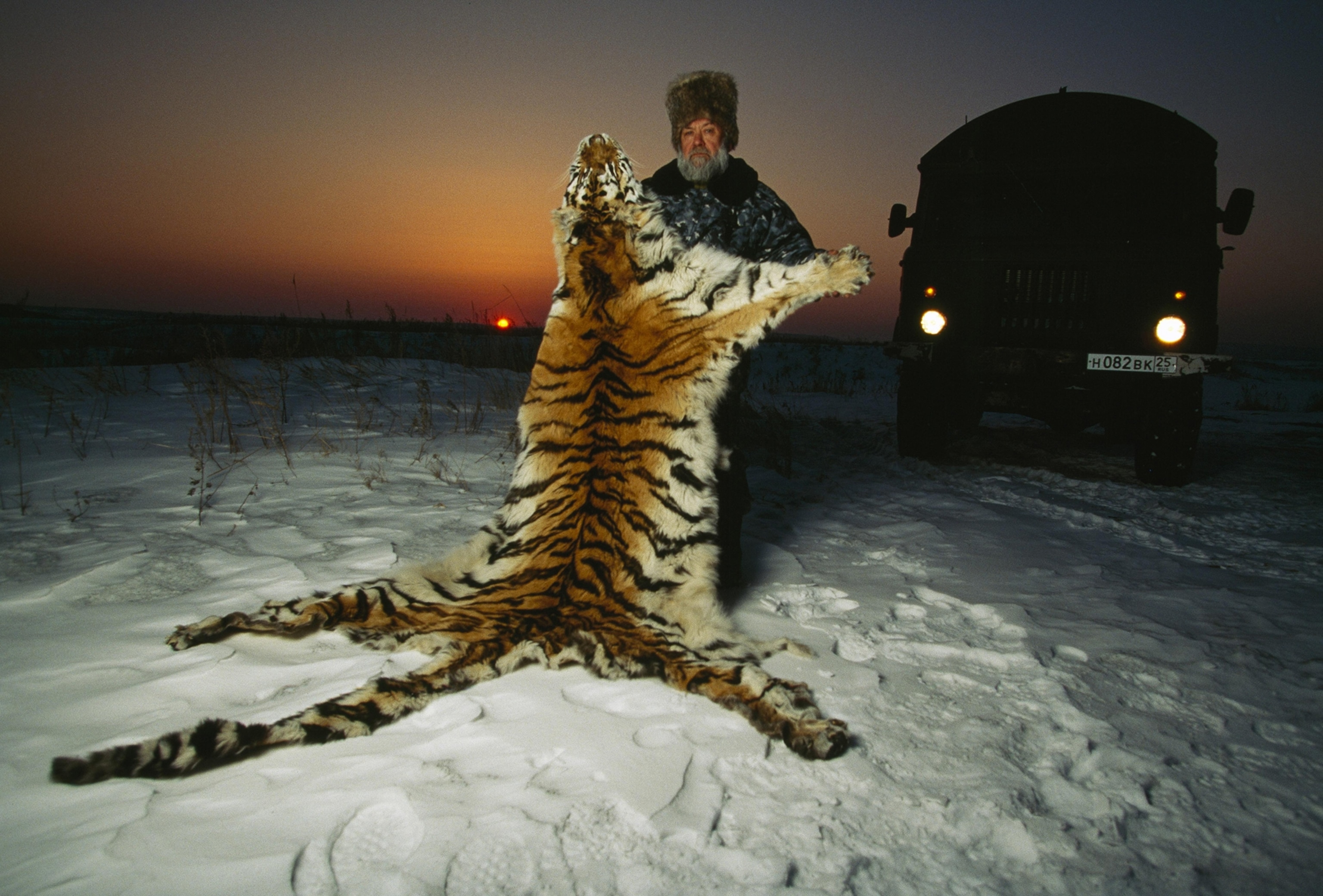 Spoils of a conservation war: Vladimir Shetinin, leader of a Russian anti-poach ing squad, displays an impounded pelt in Siberia.