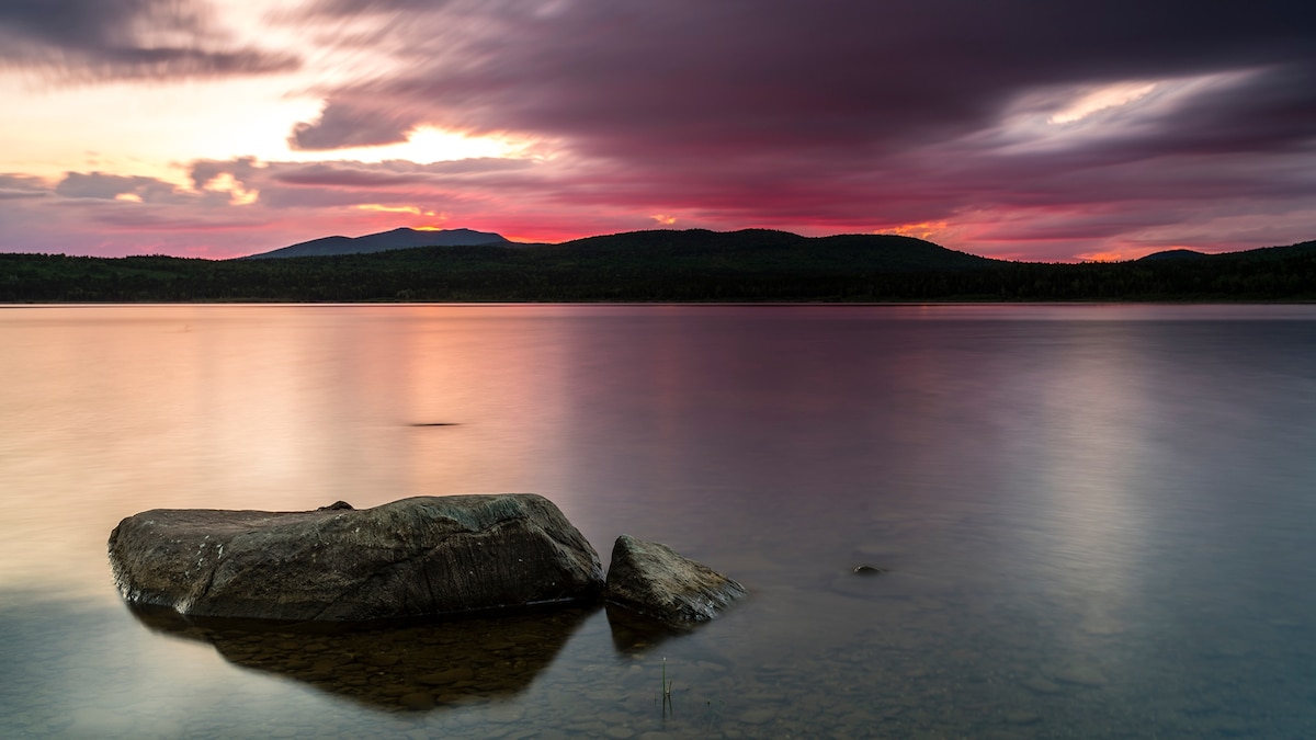 Up North in New Hampshire's Moose Alley