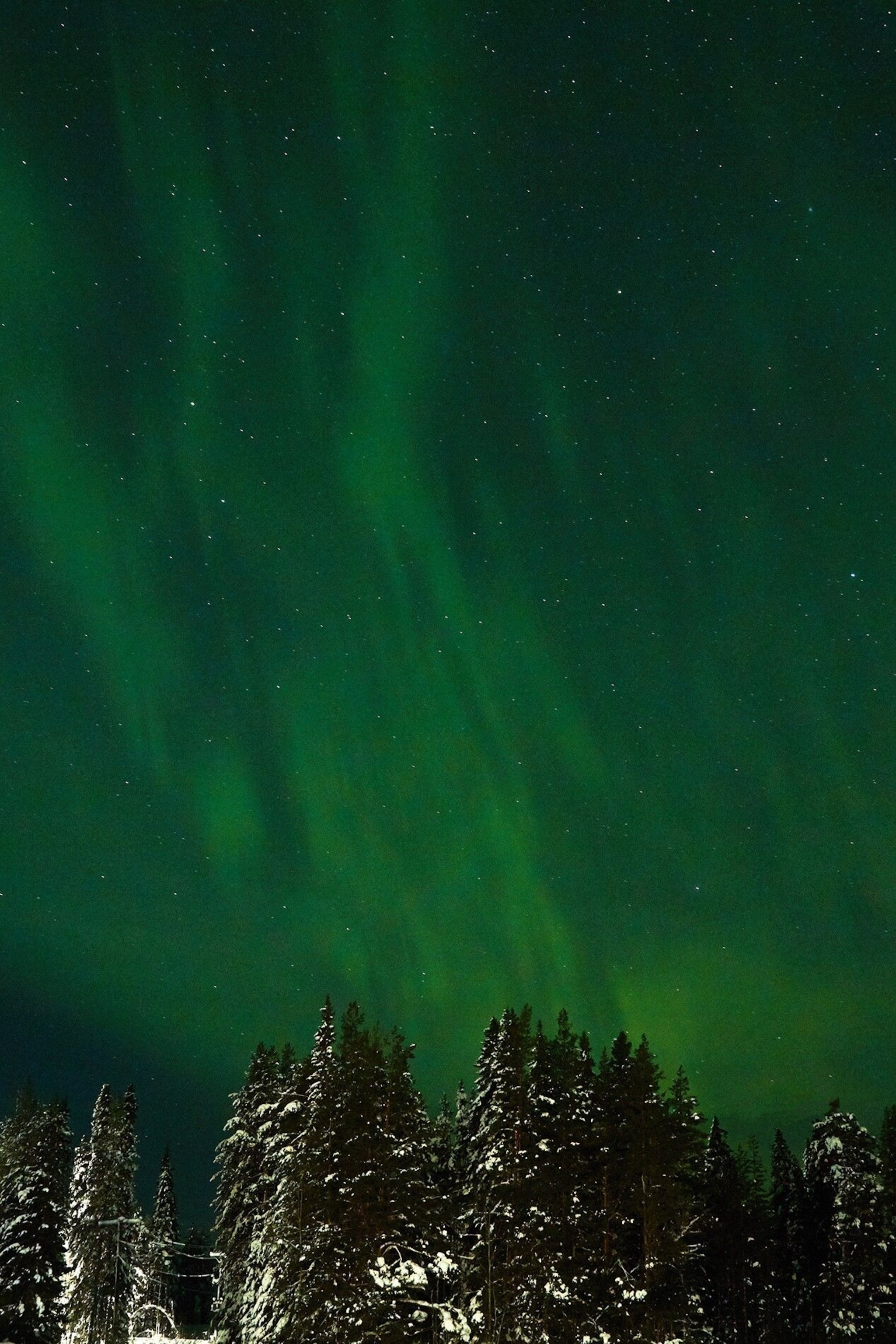 If you're lucky, you may get to see the sky light up with the Northern Lights.