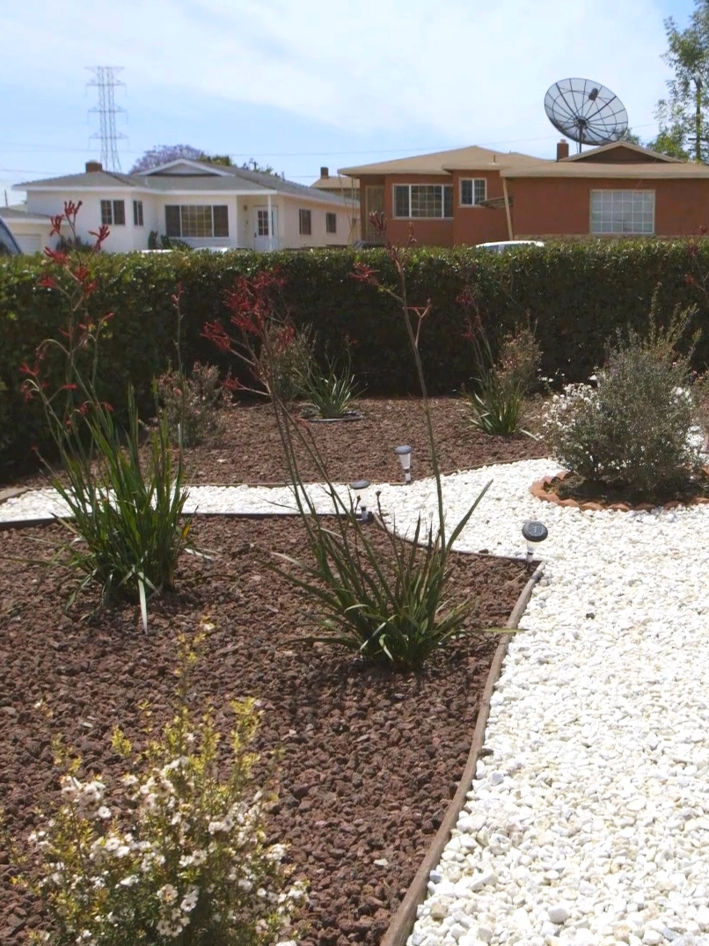 5 Water Saving Ways To Replace Lawns During California S Drought