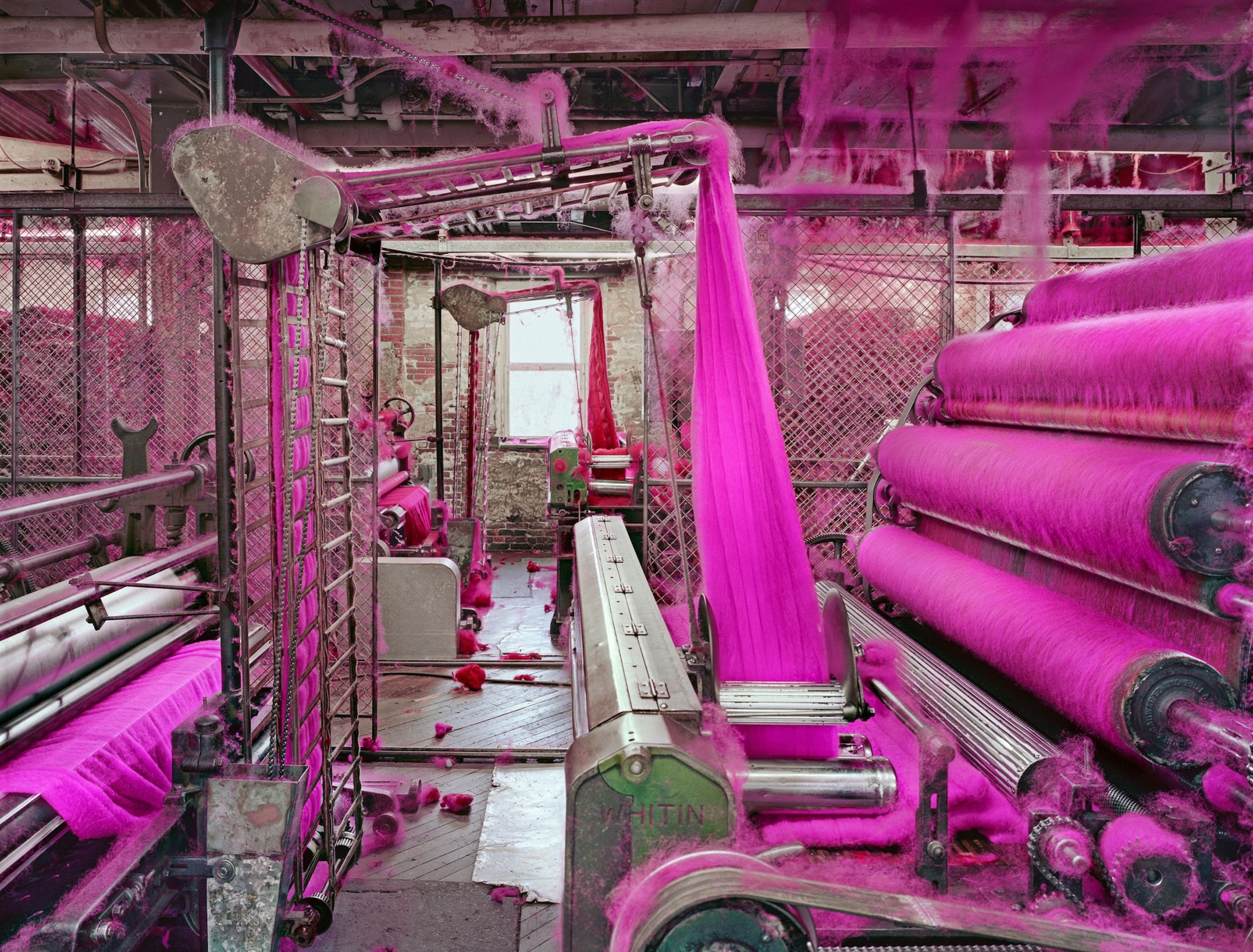 Industrial machines untangle and align raw magenta wool fibers in a factory.