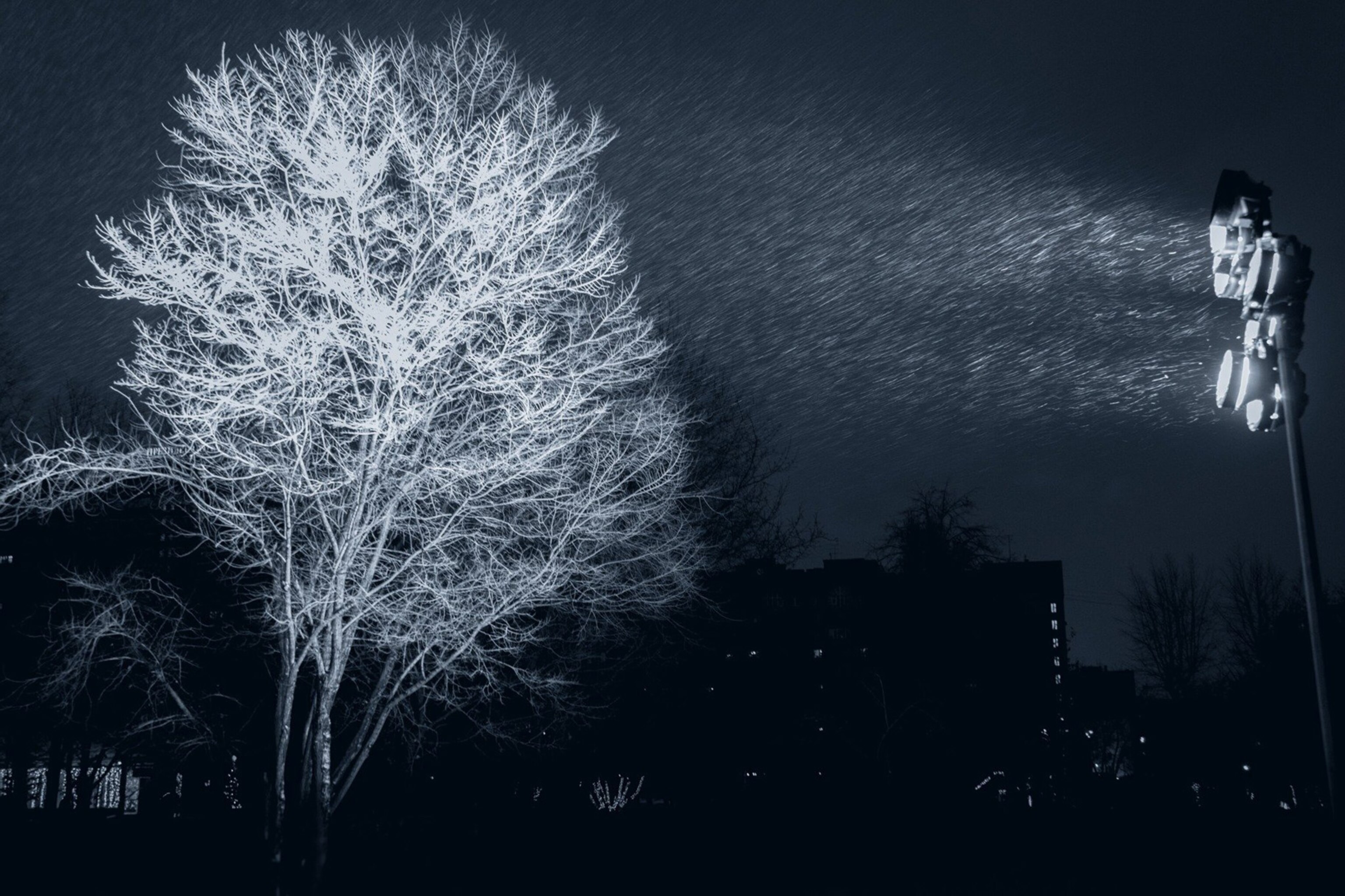 tree lit up with fall snow