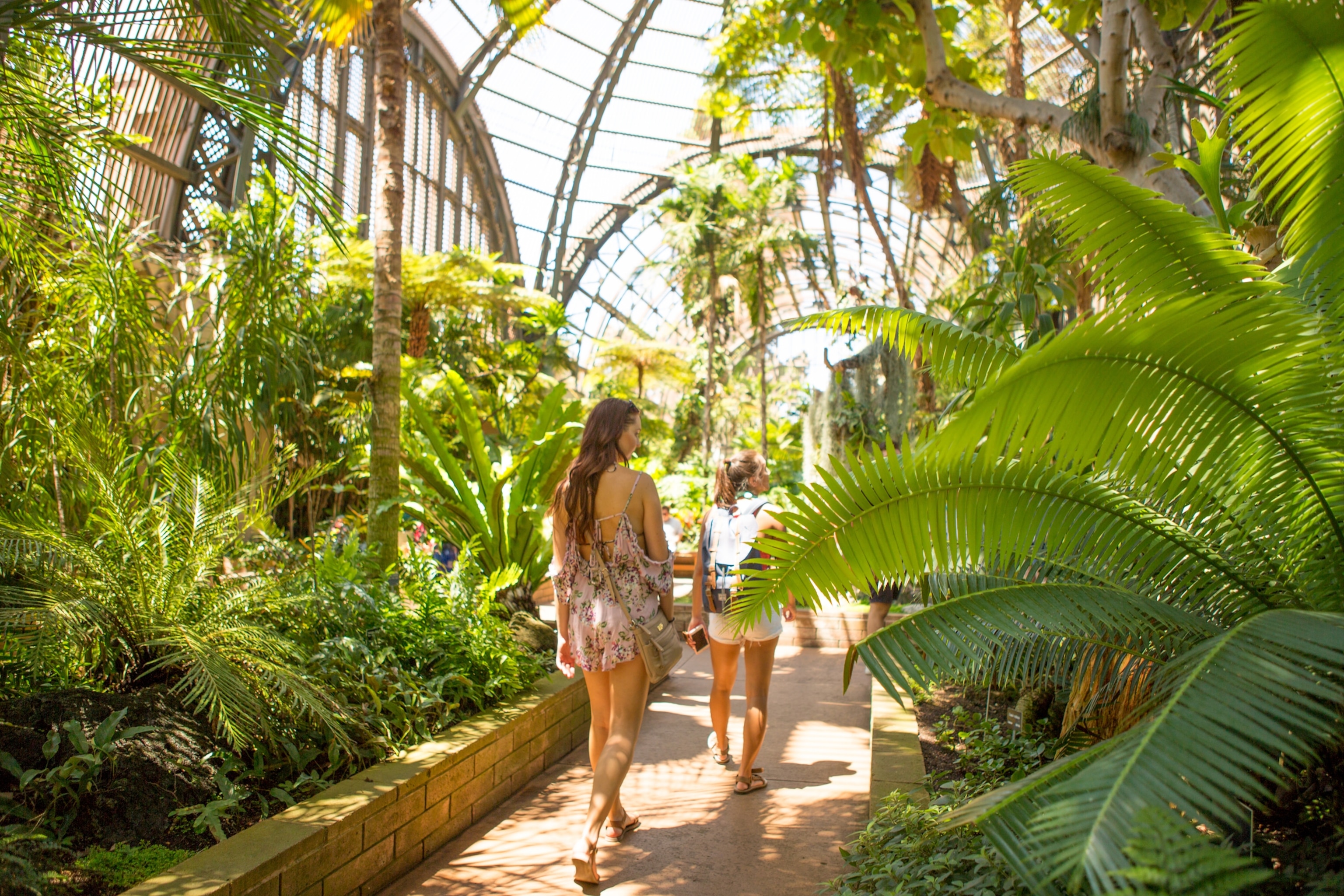 7 reasons to visit San Diego right now