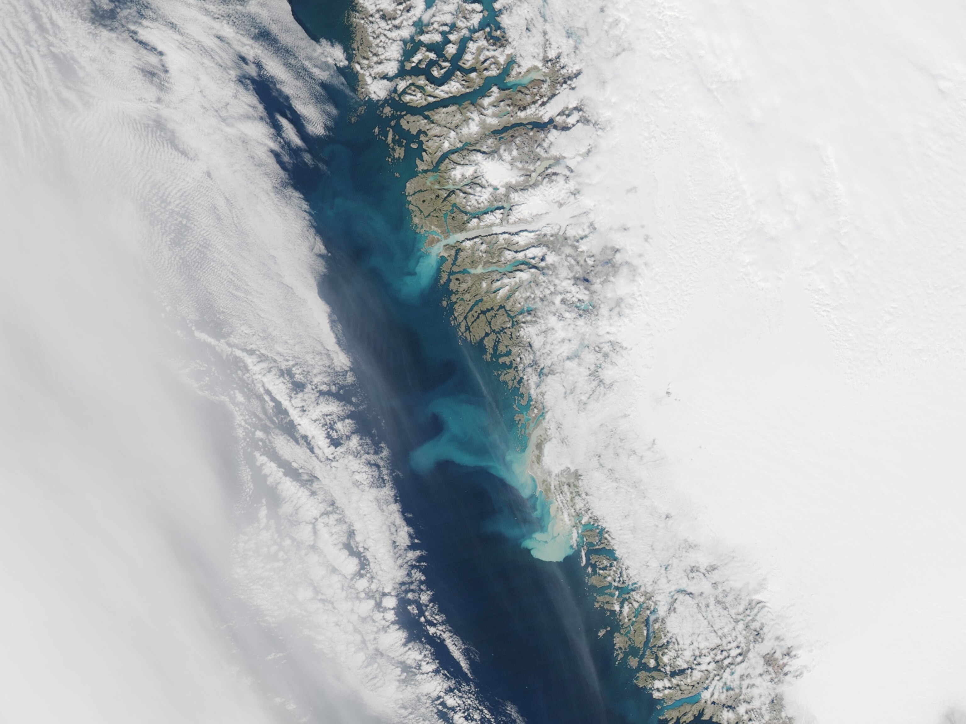 An aerial photo of plumes of sediment from glacier meltwater