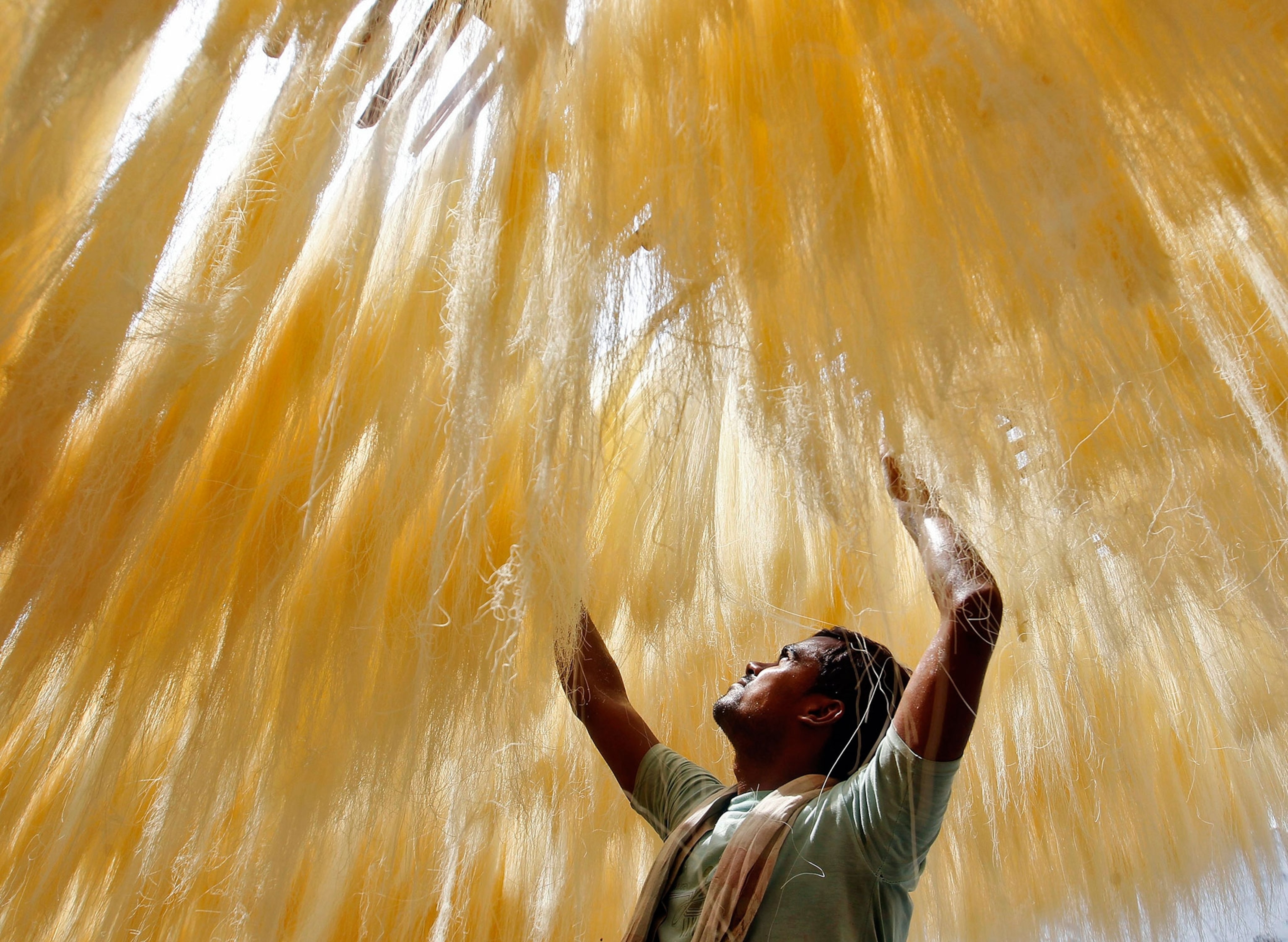 A man arranges strands of vermicelli, which are kept for drying at a factory in the northern Indian city of Allahabad July 1, 2014.