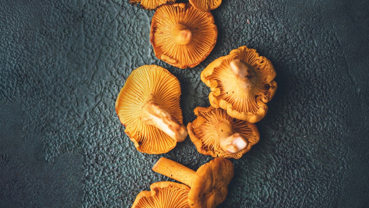 Five ways to use chanterelles, from pasta to pies