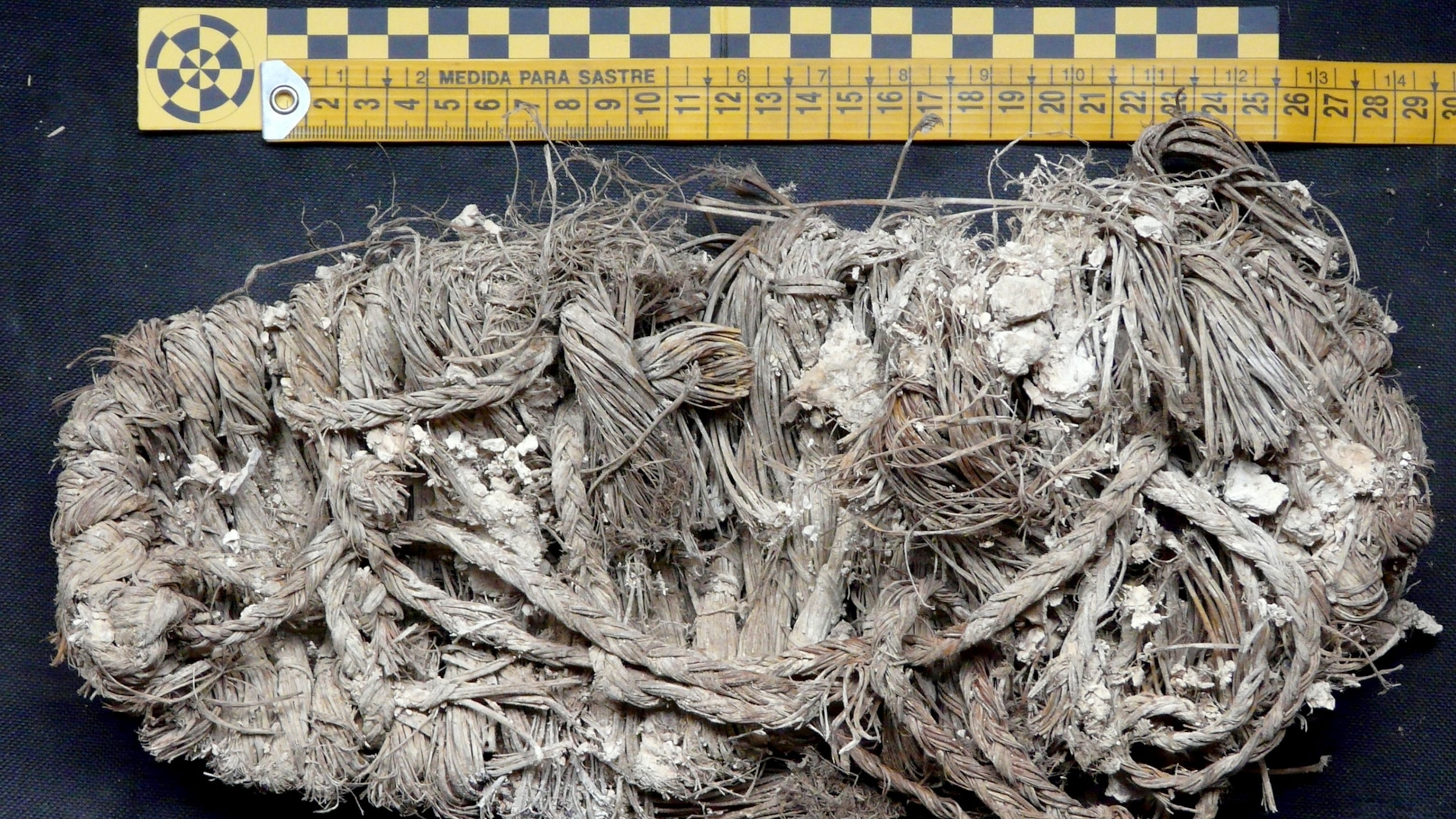 undefined | National Geographic