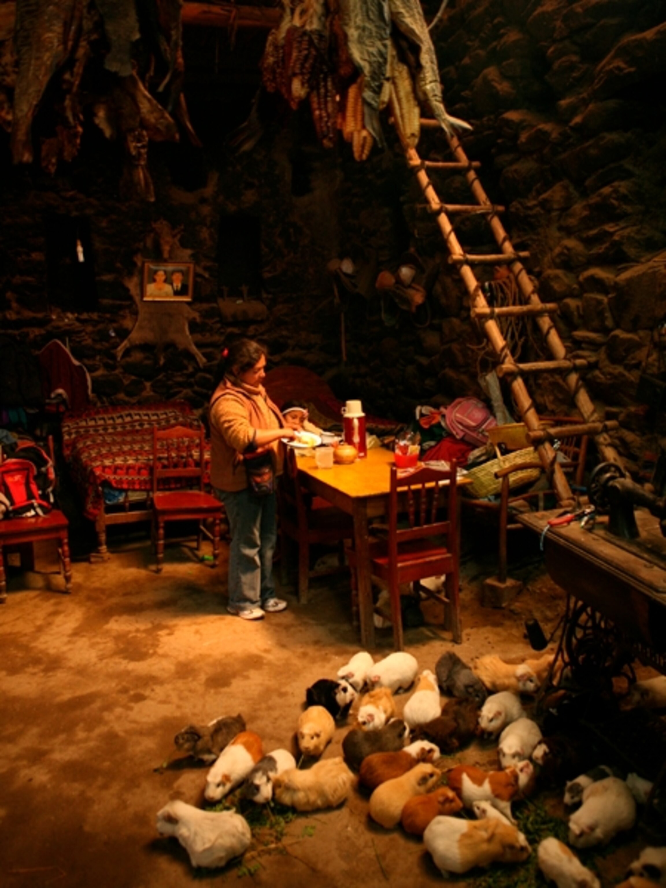 Traditional Incan home in village of village of Ollantetambo with guinea pigs and altar