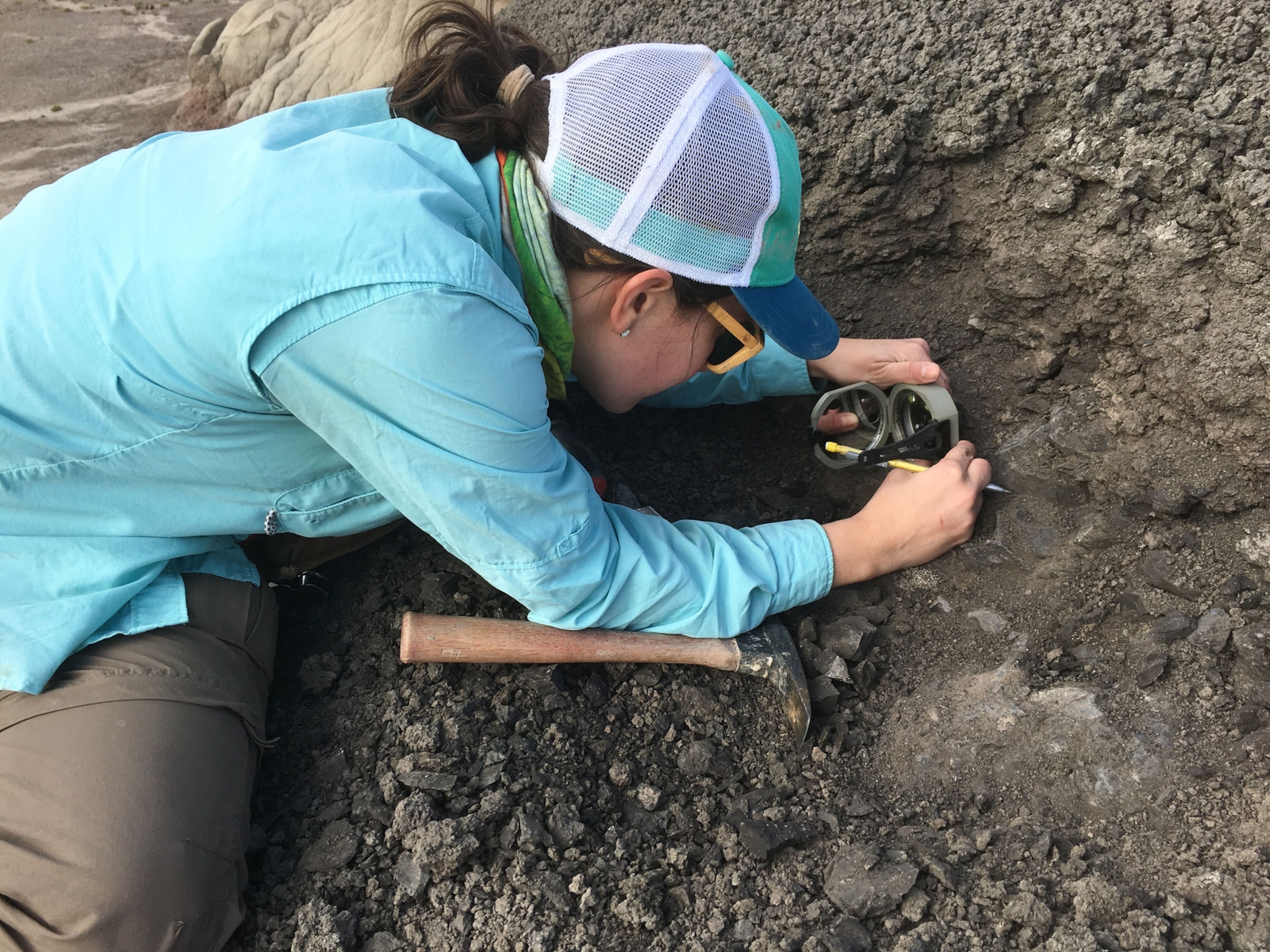 Caitlin Leslie , wearing a blue, long sleeve shirt and baseball cap, collecting paleomagnetic samples from the lower Paleocene Nacimiento Formation in the San Juan Basin of northwestern New Mexico.