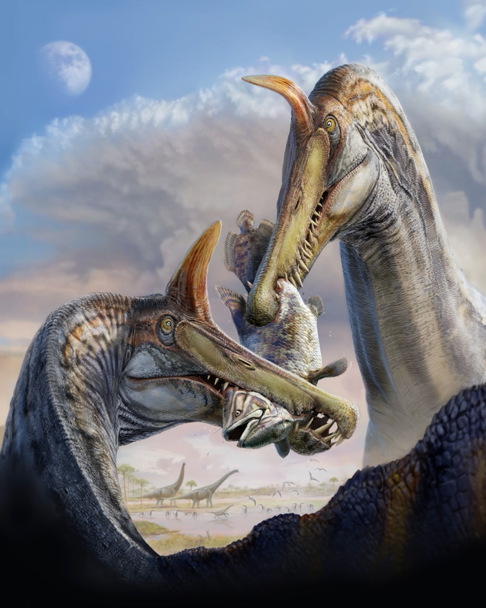 By Davide Bonadonna for once one of these images actuallt already comes with text you can read :)