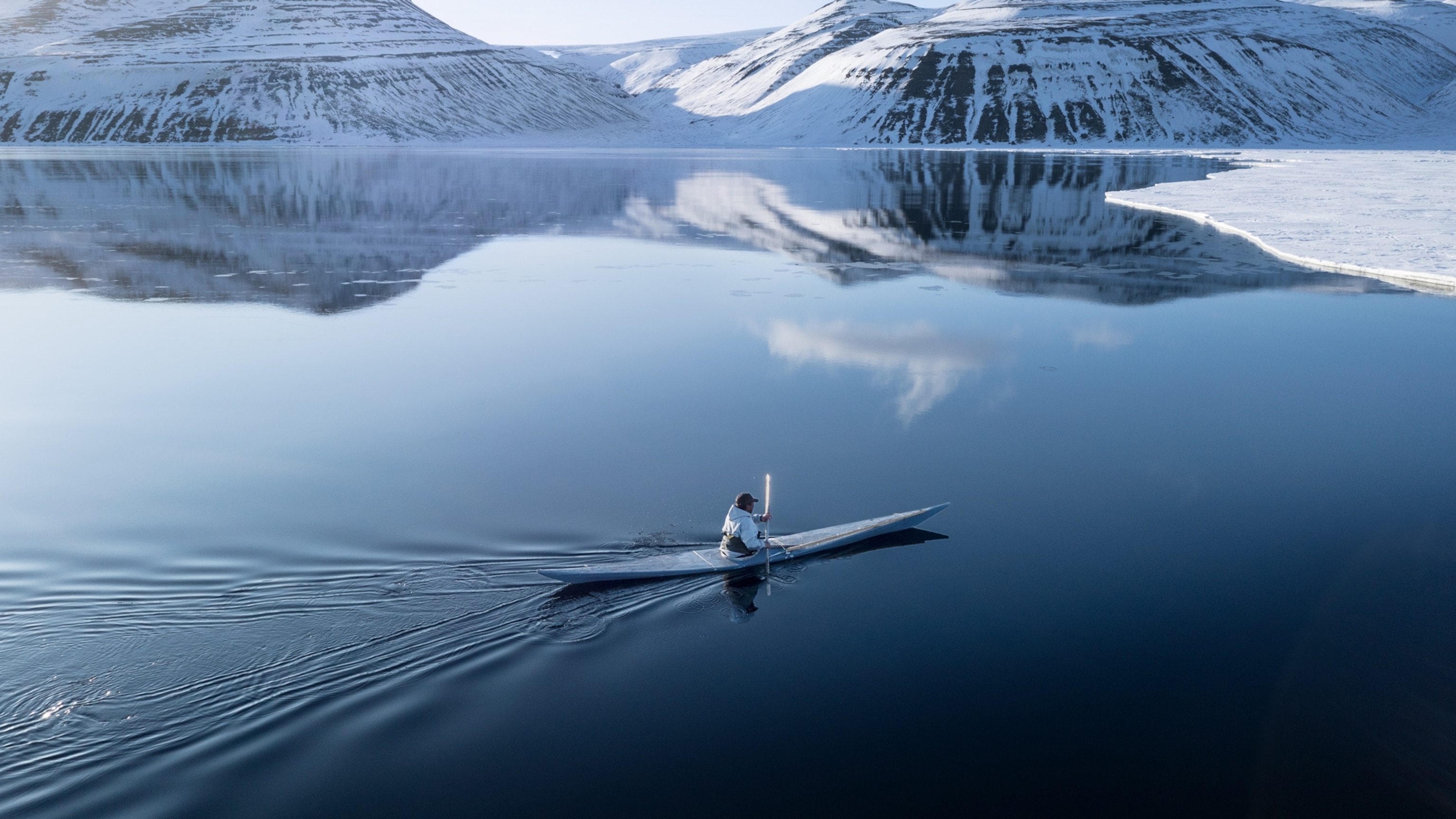 What Inughuit hunters can teach us about the revered narwhal
