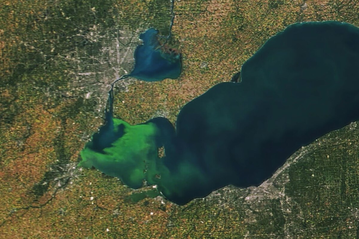 Lake Erie Covered in Algae Blooms