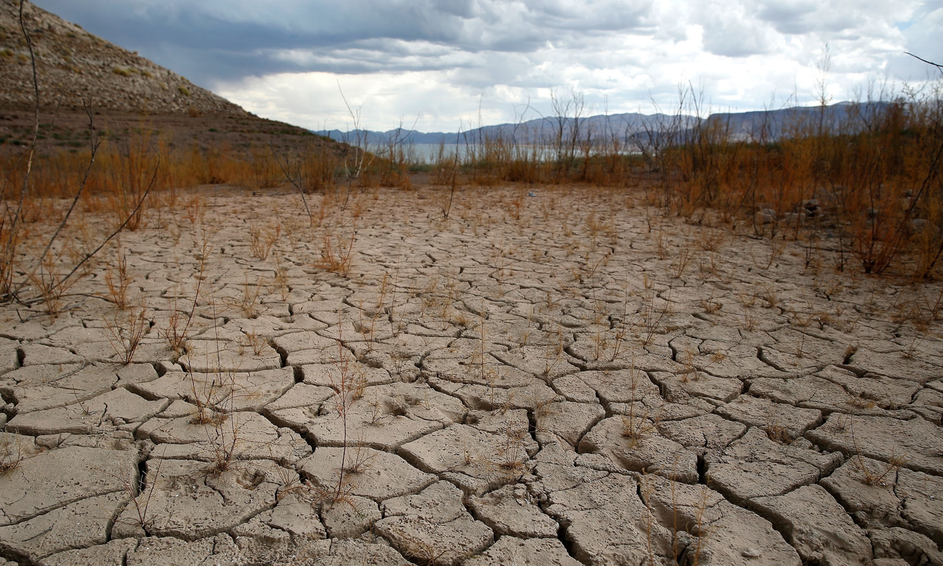 cracked ground during drought