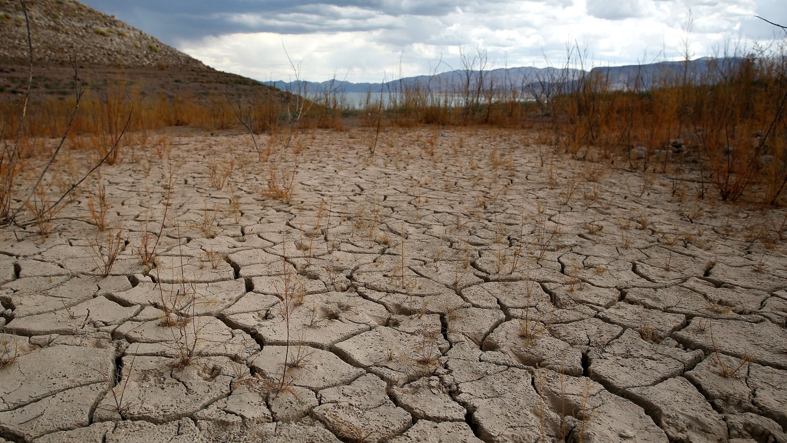 These Are the Forgotten Victims of the West's Drought