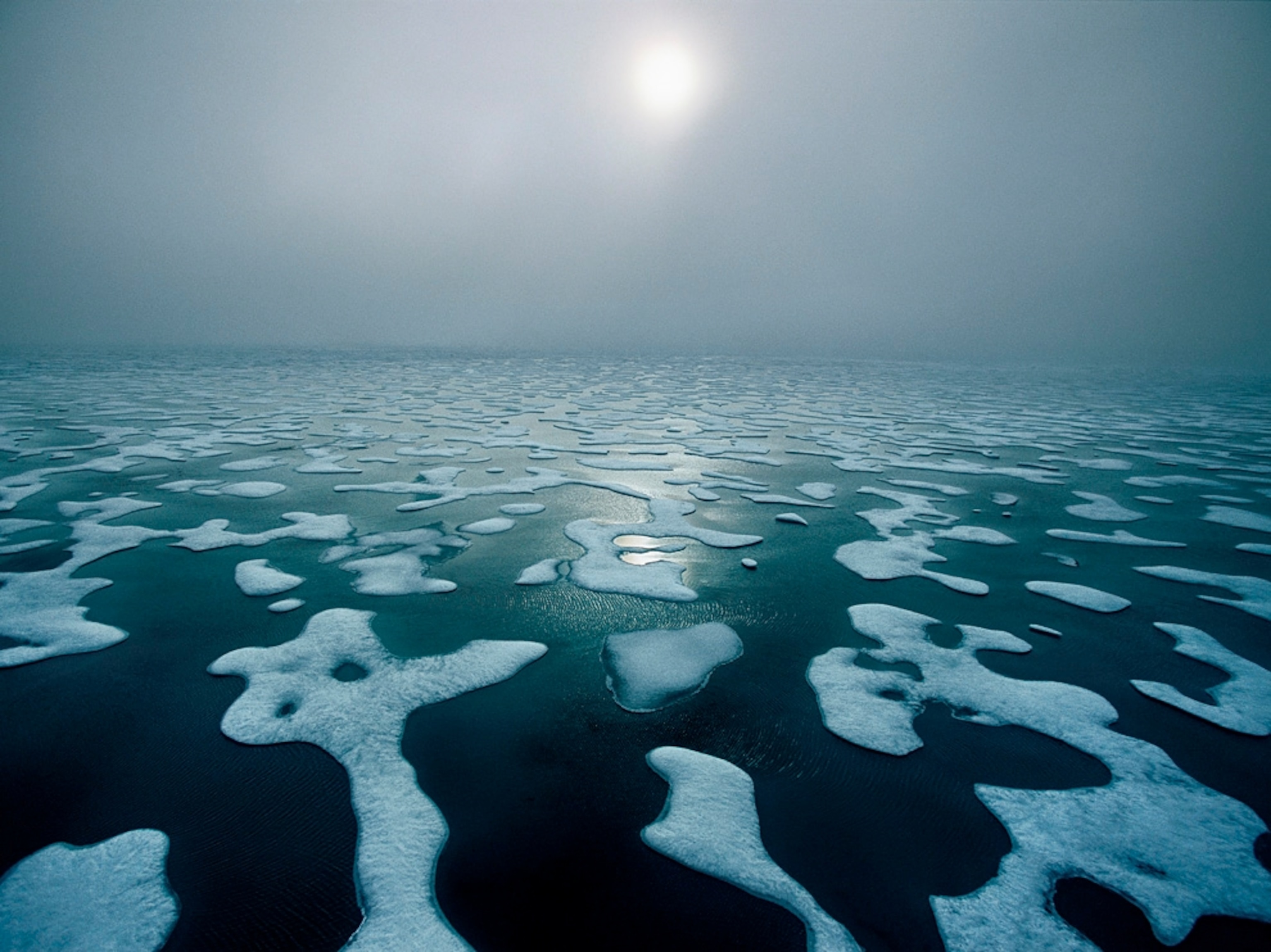 Scattered pieces of sea ice float on the calm surface of the Beaufort Sea