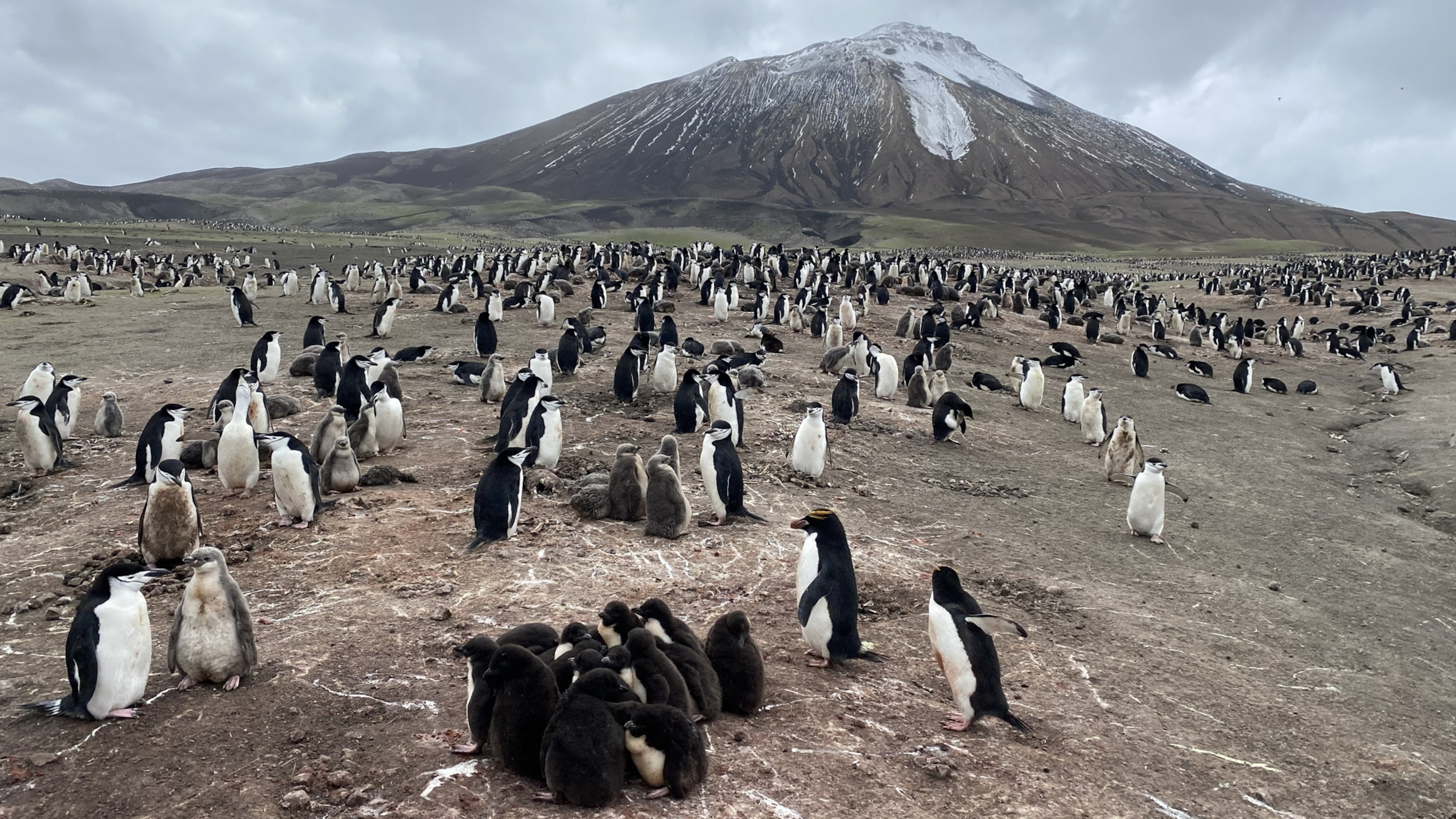 ナショナルジオグラフィックwedgeDAYS National Geographic