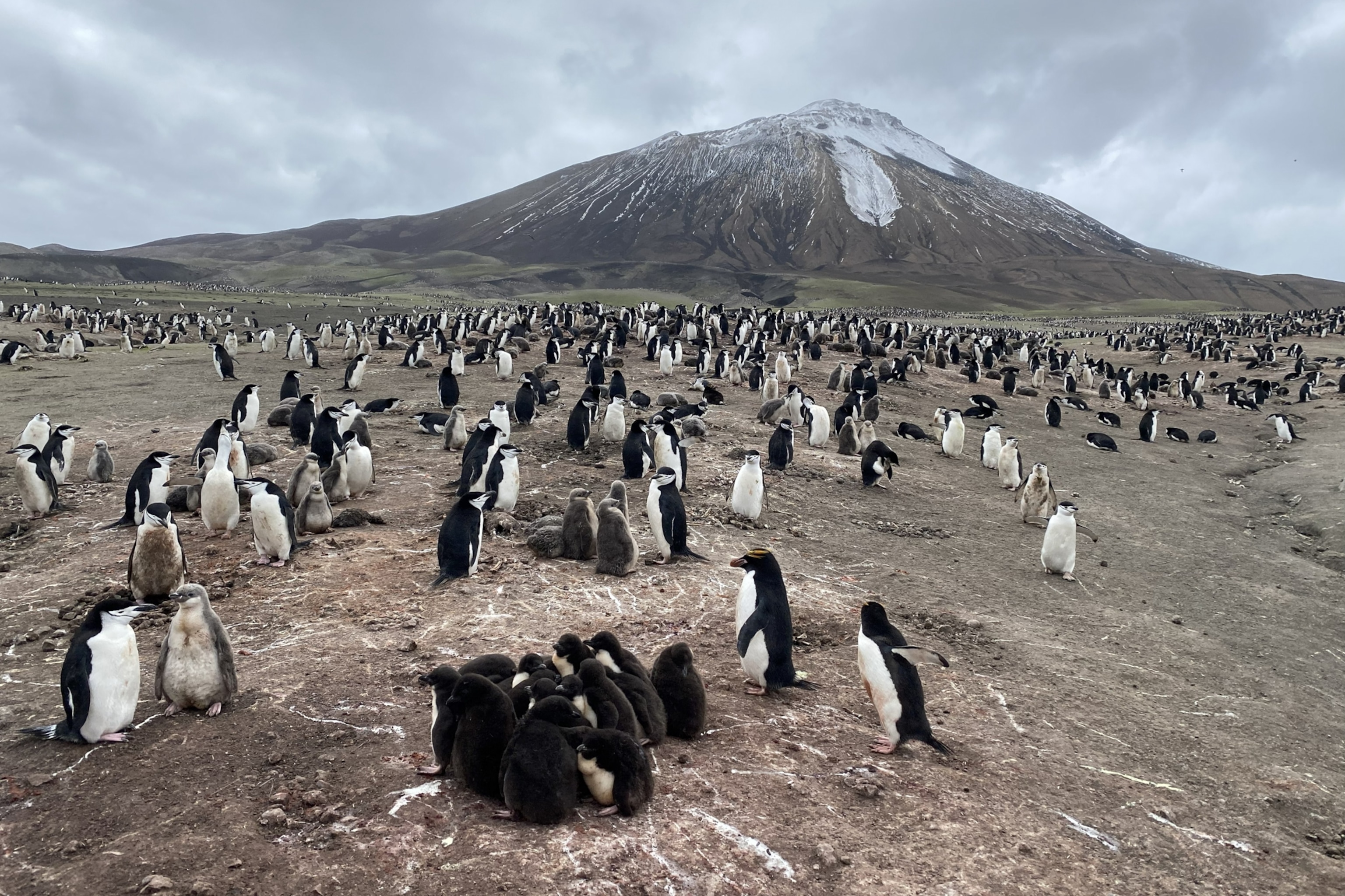Best of the World | National Geographic