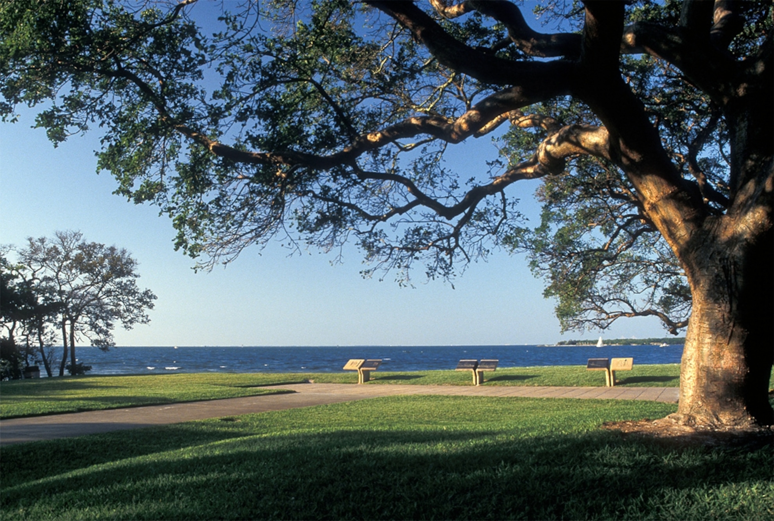 Lookout point in De Soto National Memorial, one of the U.S. national parks that may be threatened by the Gulf oil spill.