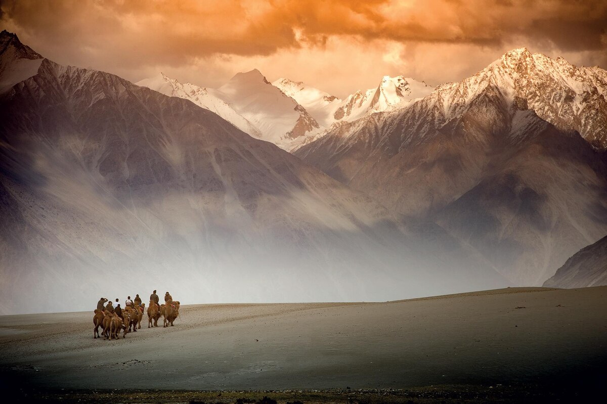 Trading Silk for Horses The Surprisingly Simple Origins of the Silk Road