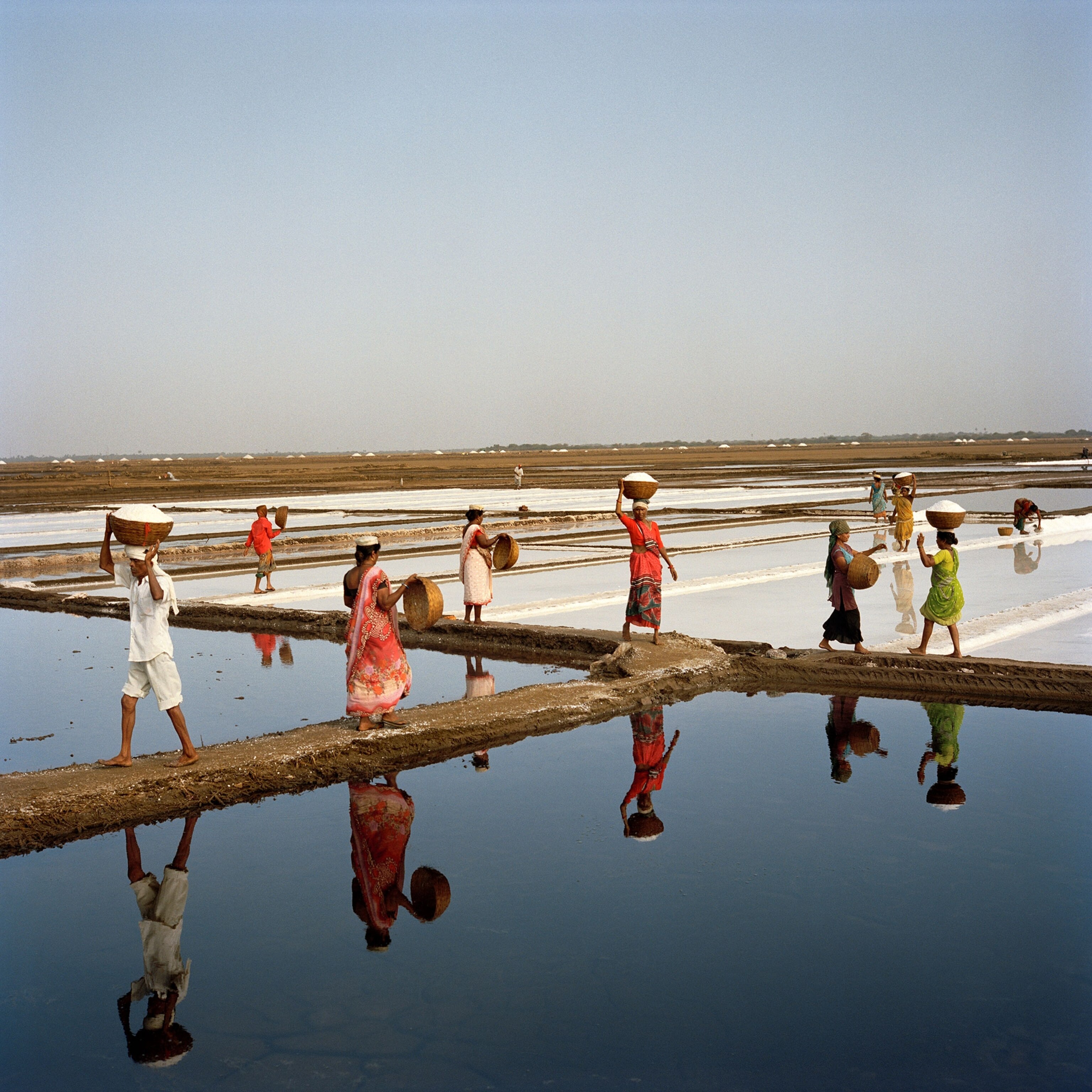 women harvesting salt in India
